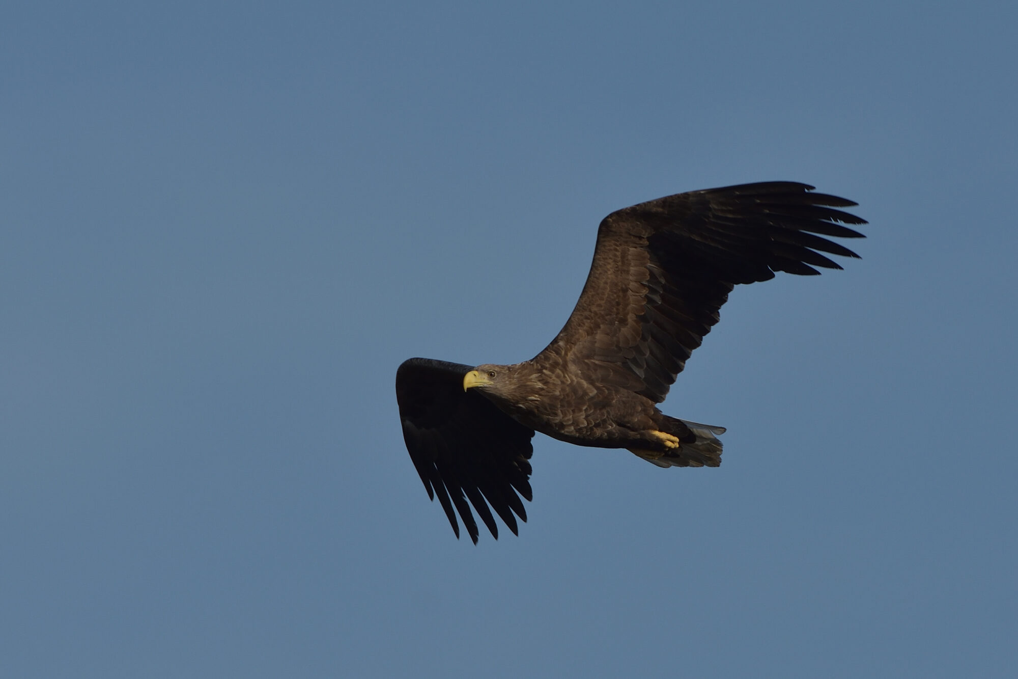 Valokuvaaja: Asko Heikkinen