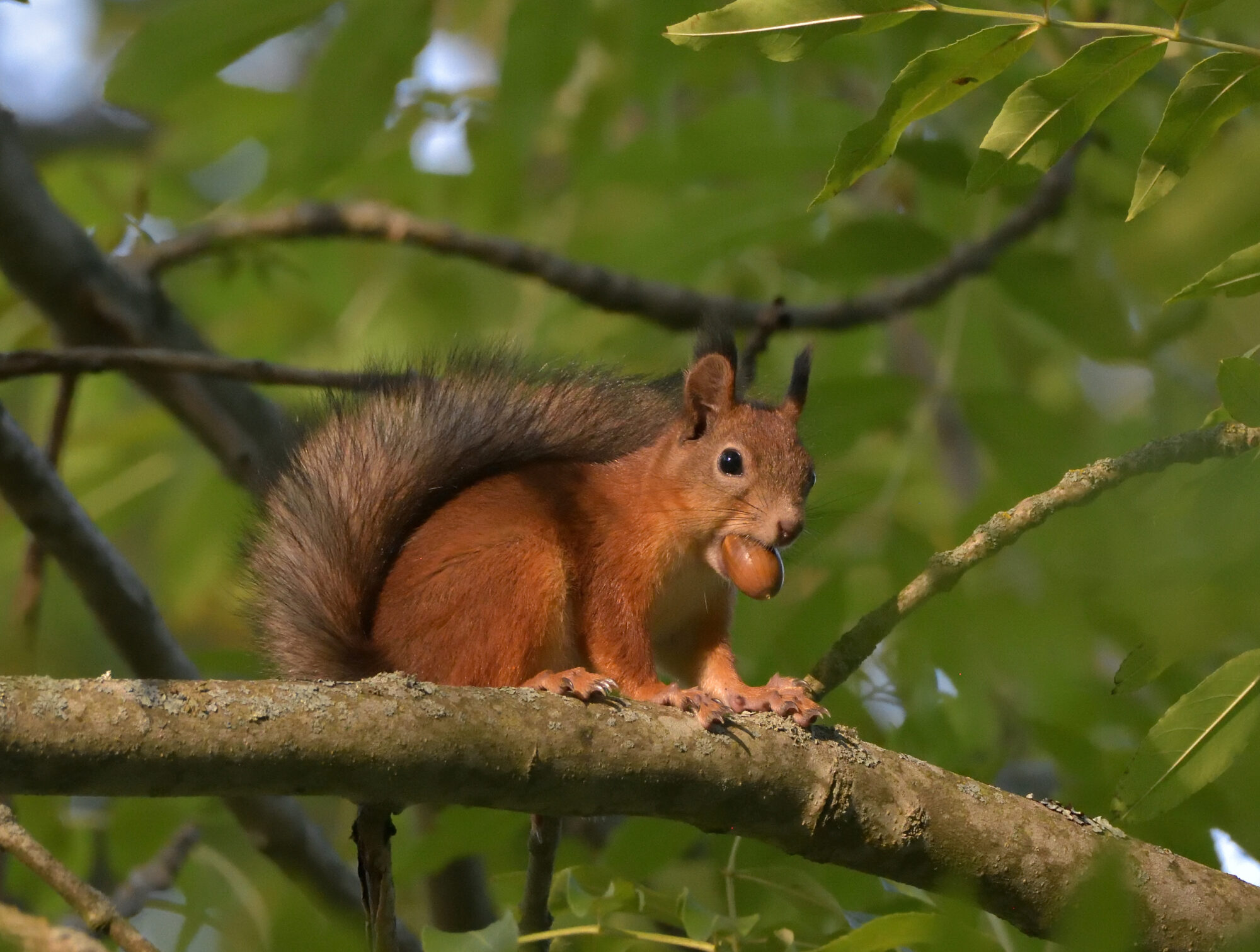 Valokuvaaja: Asko Heikkinen