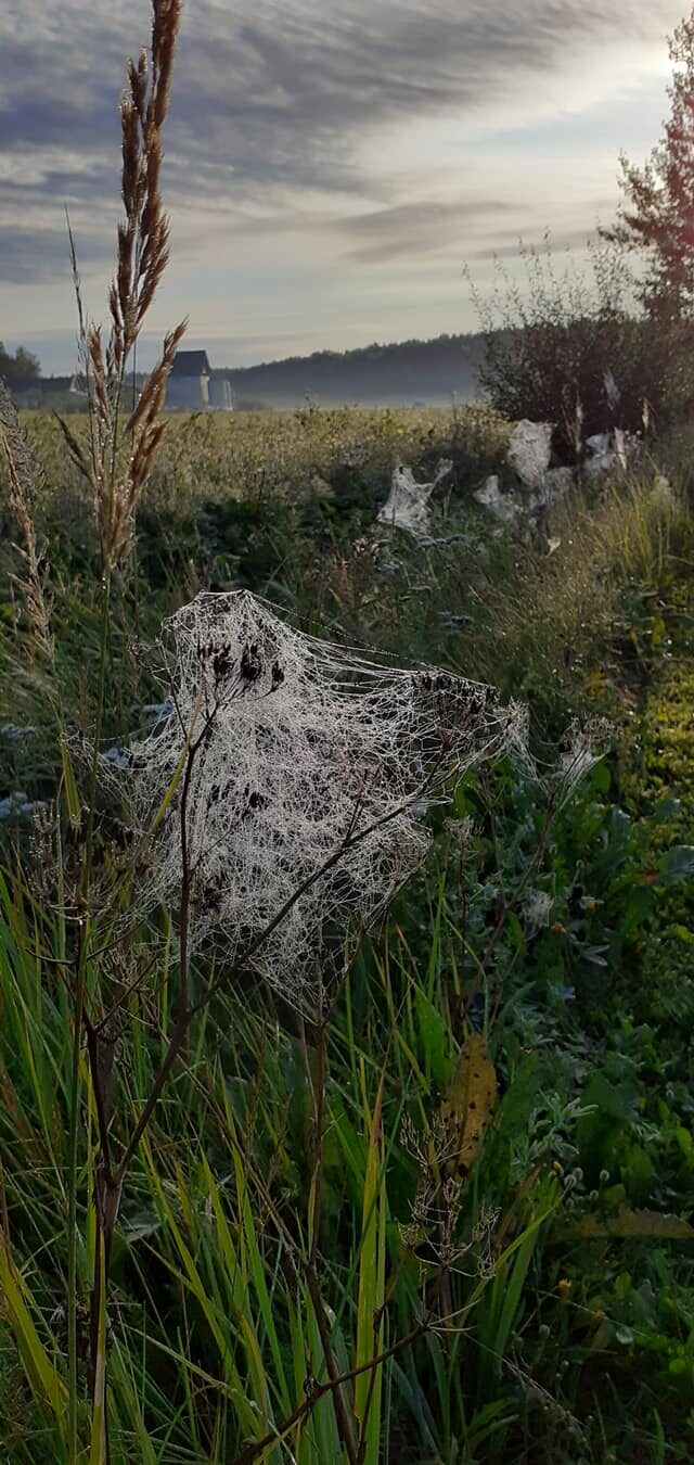 Valokuvaaja: Raisa Vuokola Valokuvaaja: Raisa Vuokola