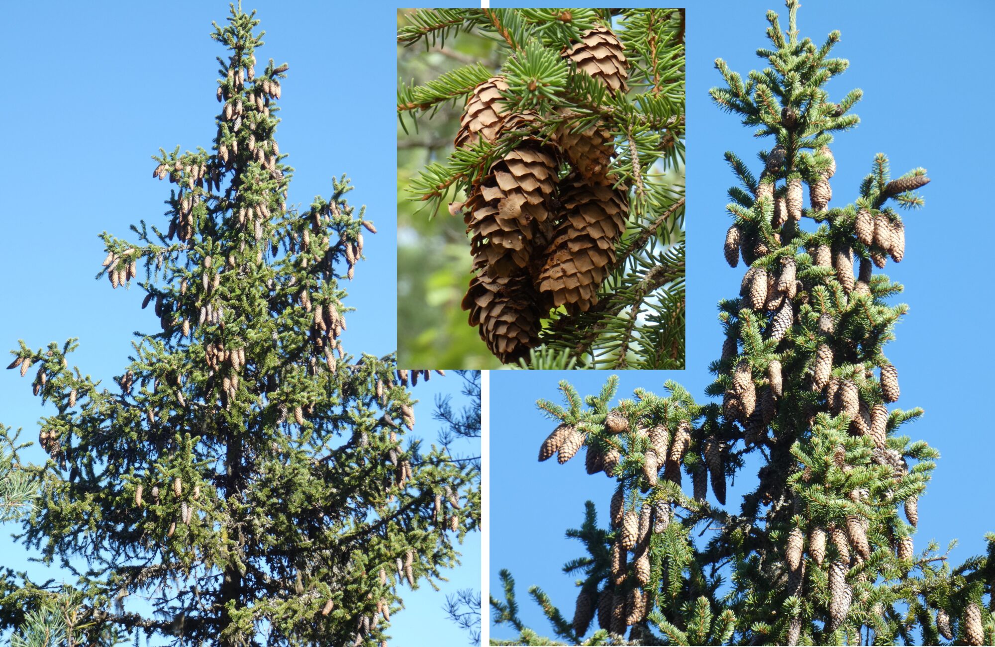 Valokuvaaja: Pekka Heino