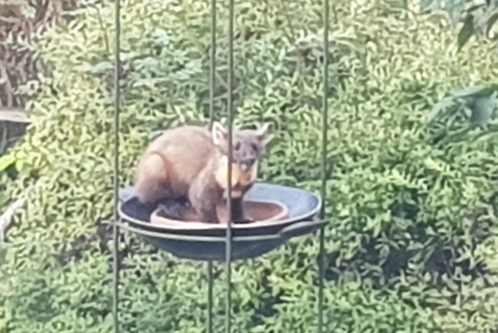 Valokuvaaja: Pentti Savolainen