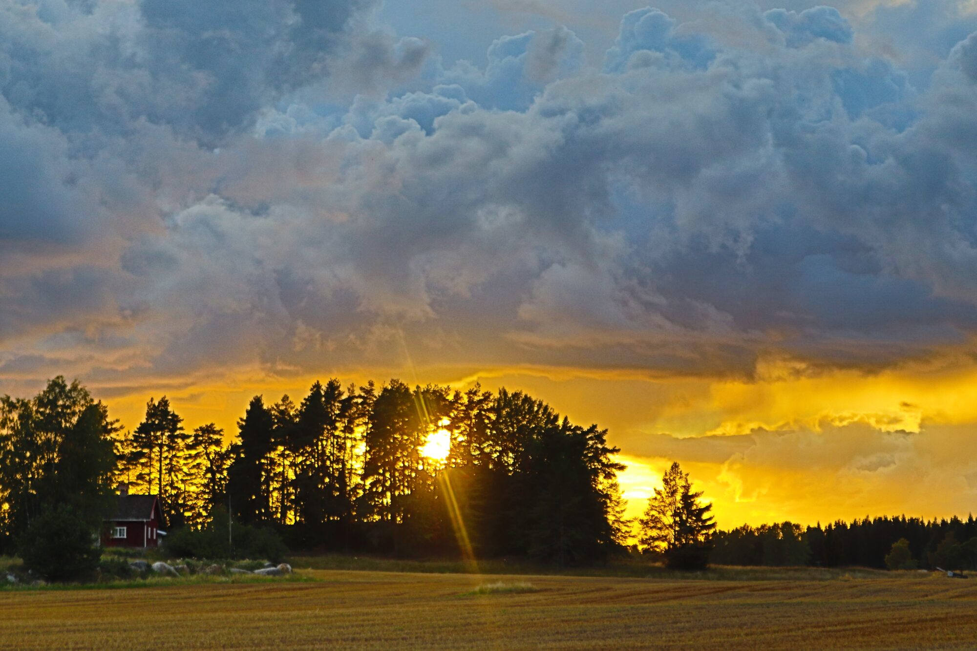 Valokuvaaja: Irja Lehtinen