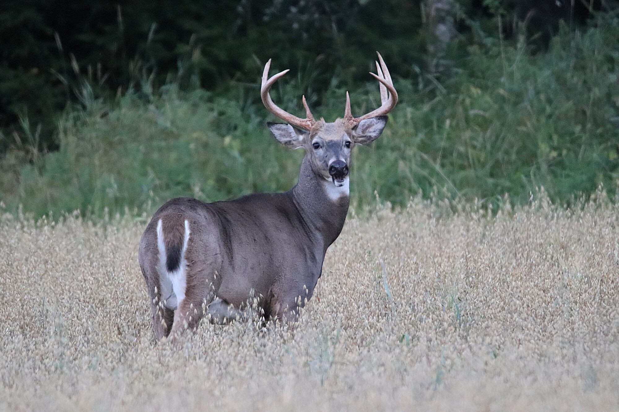 Valokuvaaja: Irja Lehtinen Valokuvaaja: Irja Lehtinen