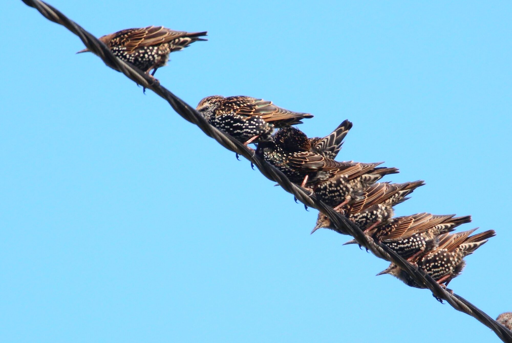 Valokuvaaja: Irja Lehtinen