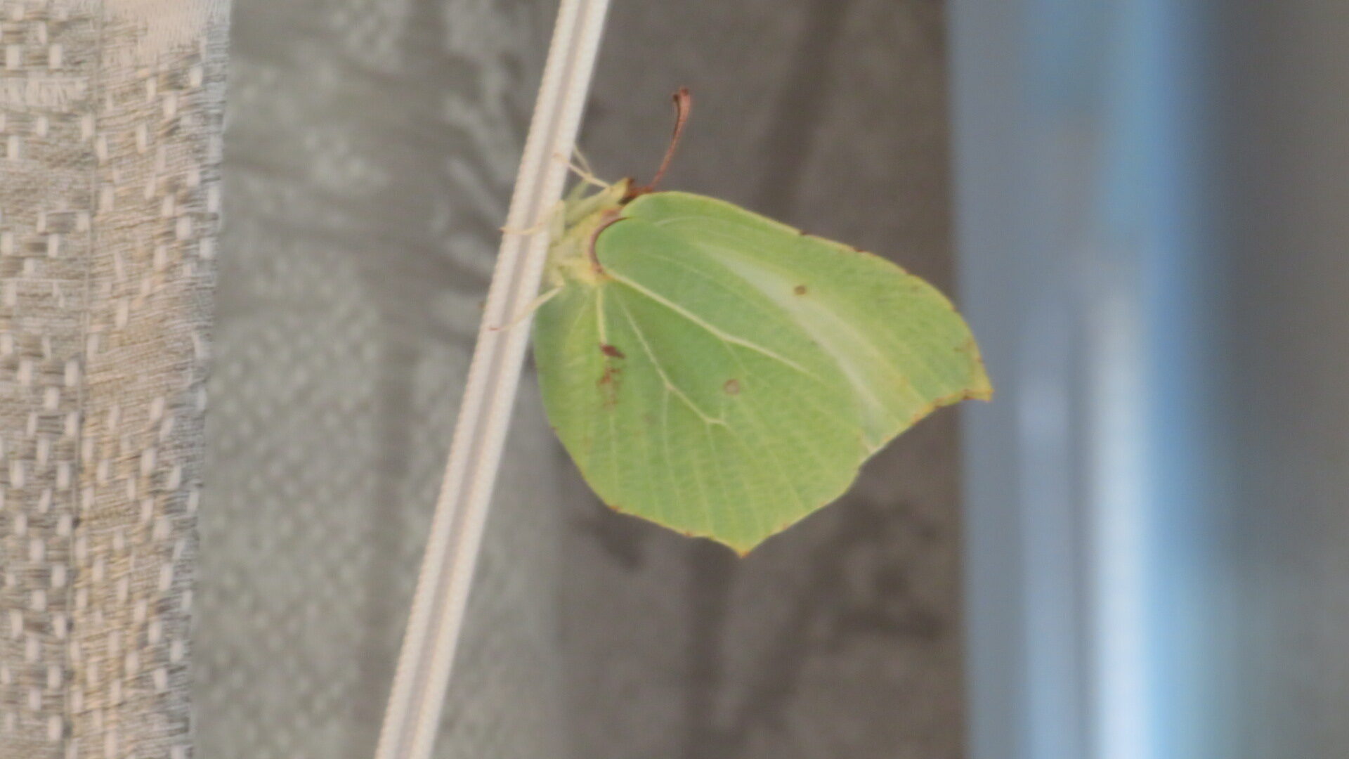 Valokuvaaja: Risto Kangassalo