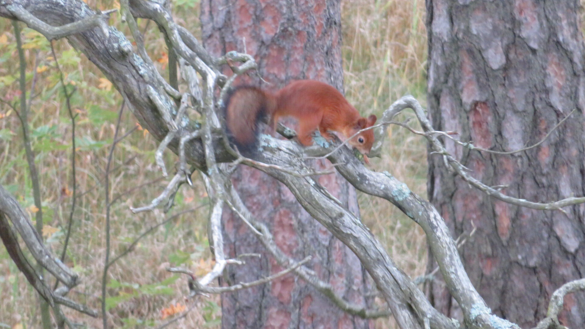 Valokuvaaja: Risto Kangassalo