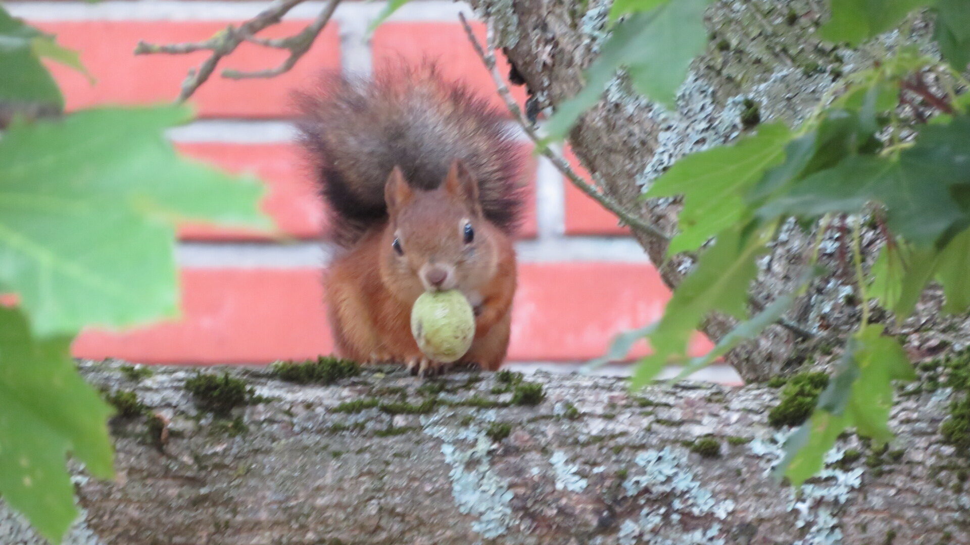 Valokuvaaja: Risto Kangassalo