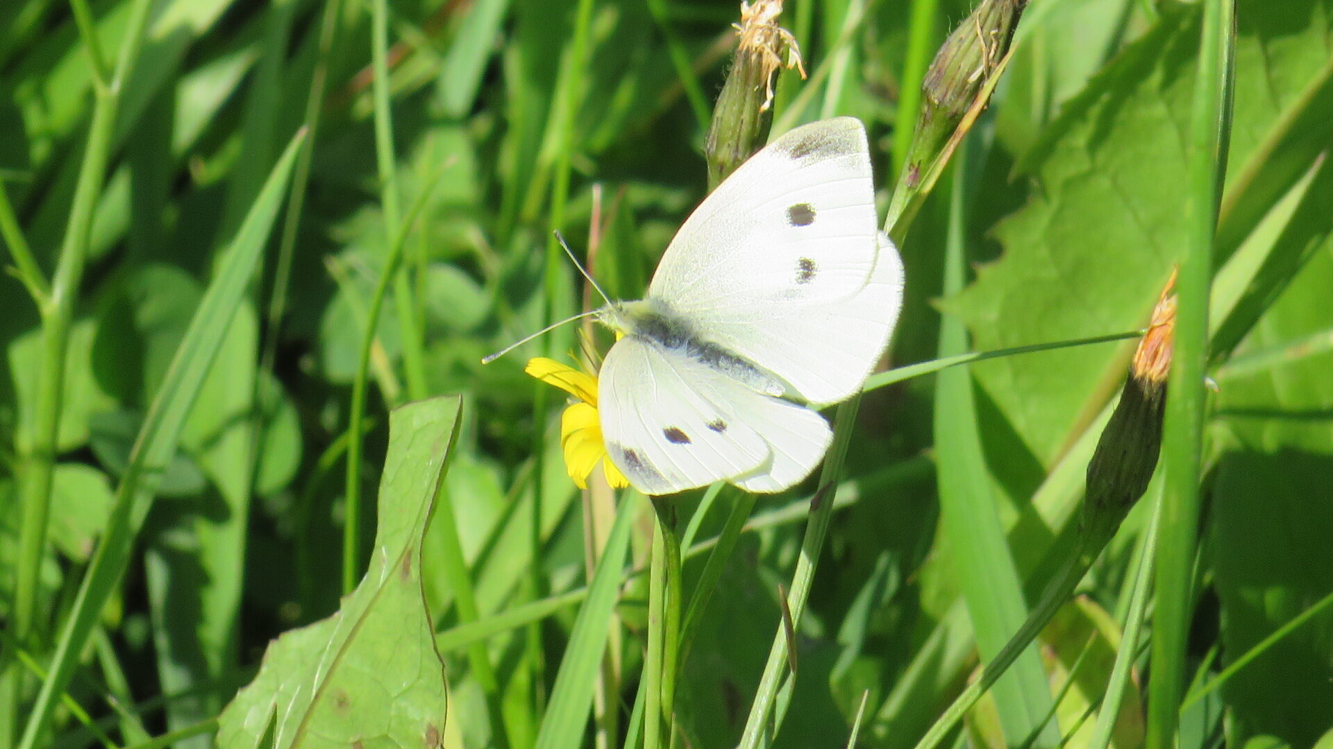 Valokuvaaja: Risto Kangassalo