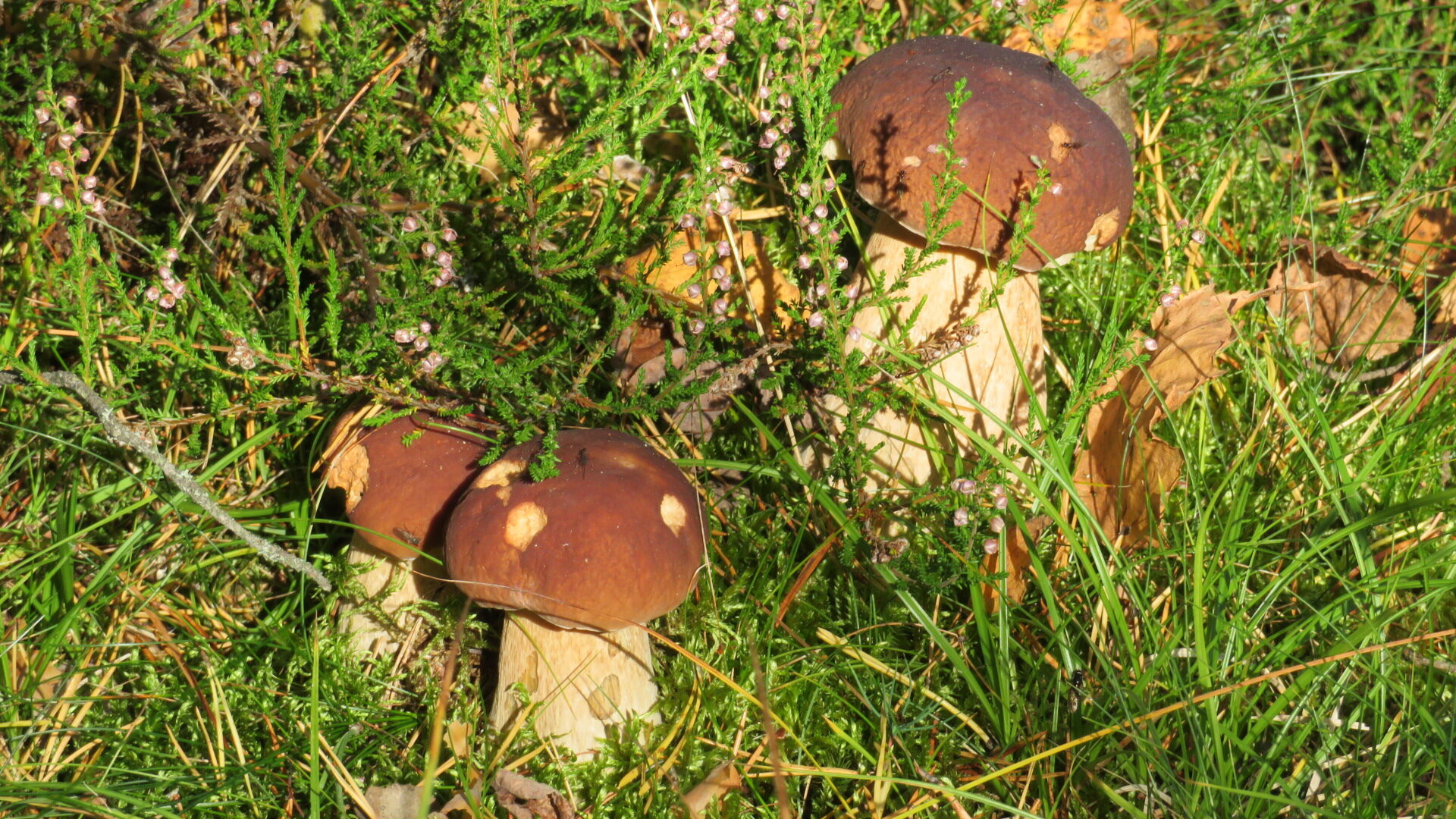 Valokuvaaja: Risto Kangassalo