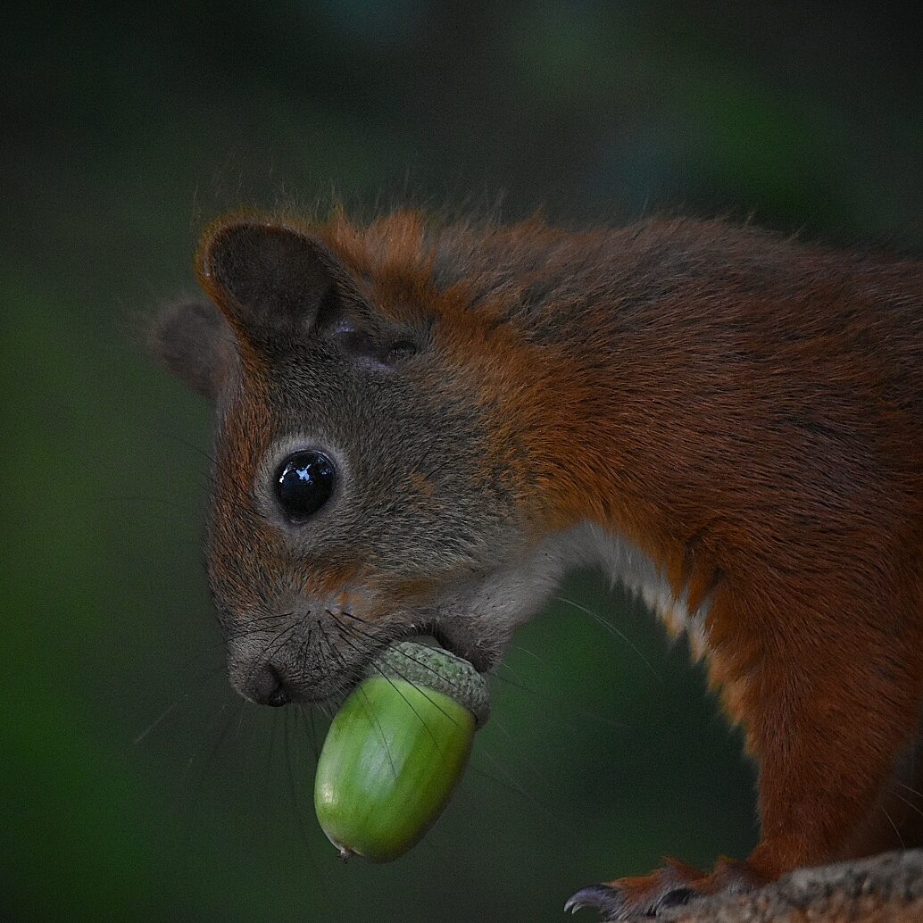 Valokuvaaja: eraopa_s