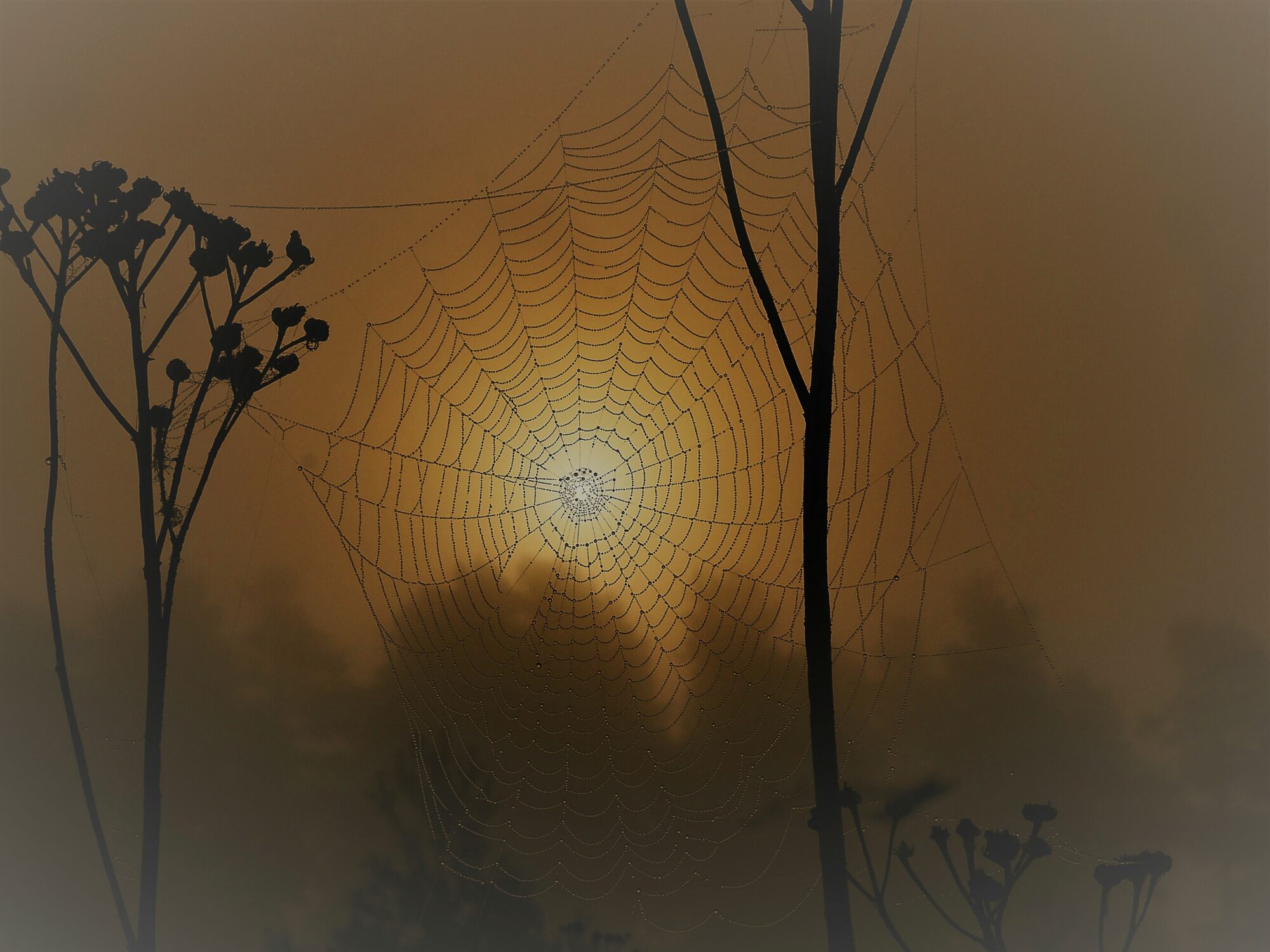 Valokuvaaja: Mikkola Irma