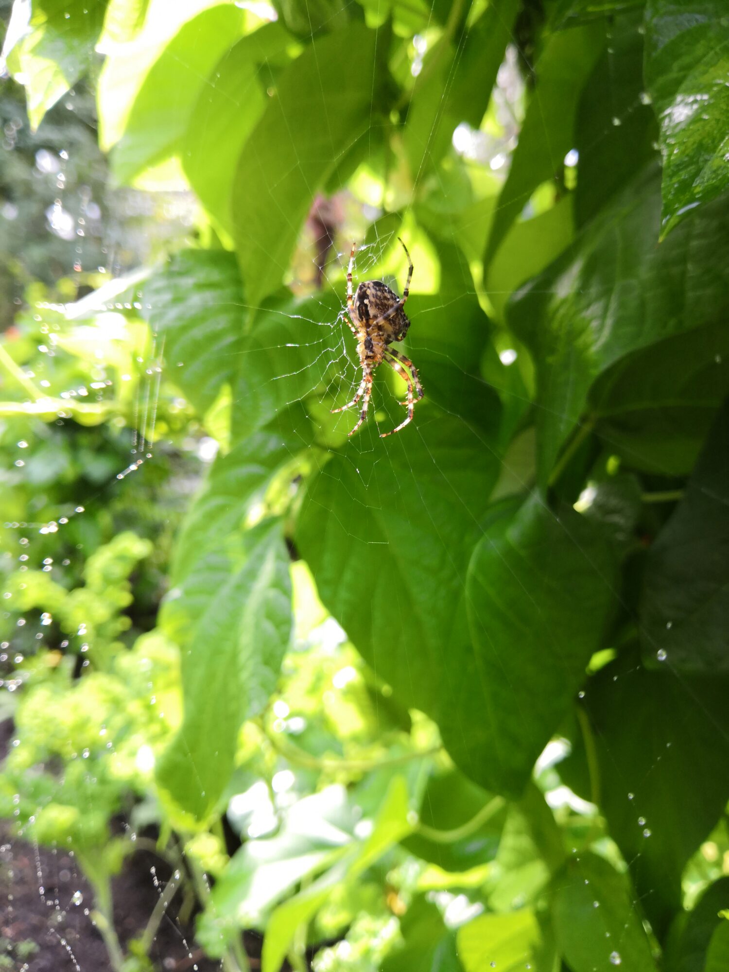 Valokuvaaja: Raija Leinonen