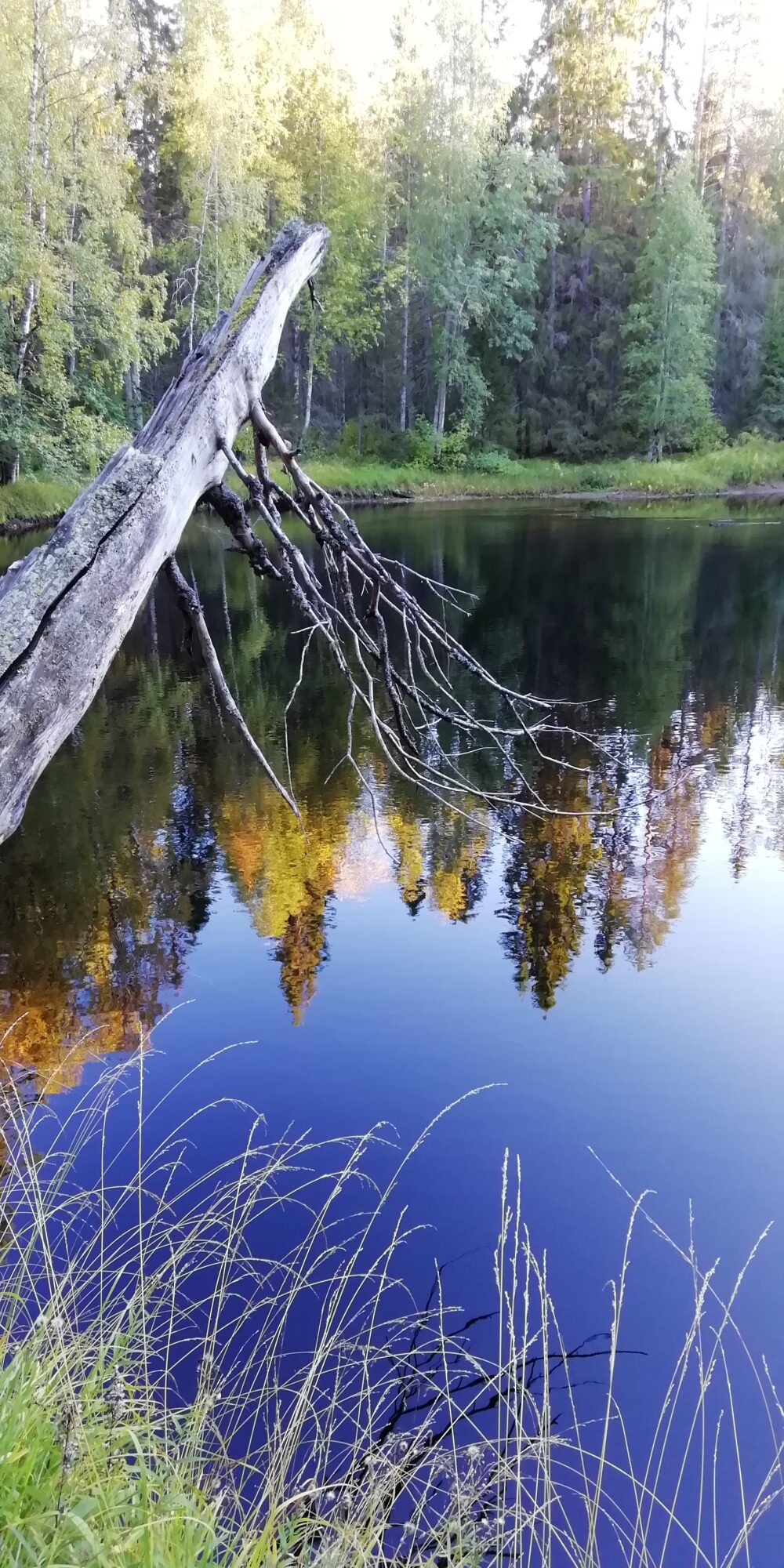 Valokuvaaja: Sari Viemerö