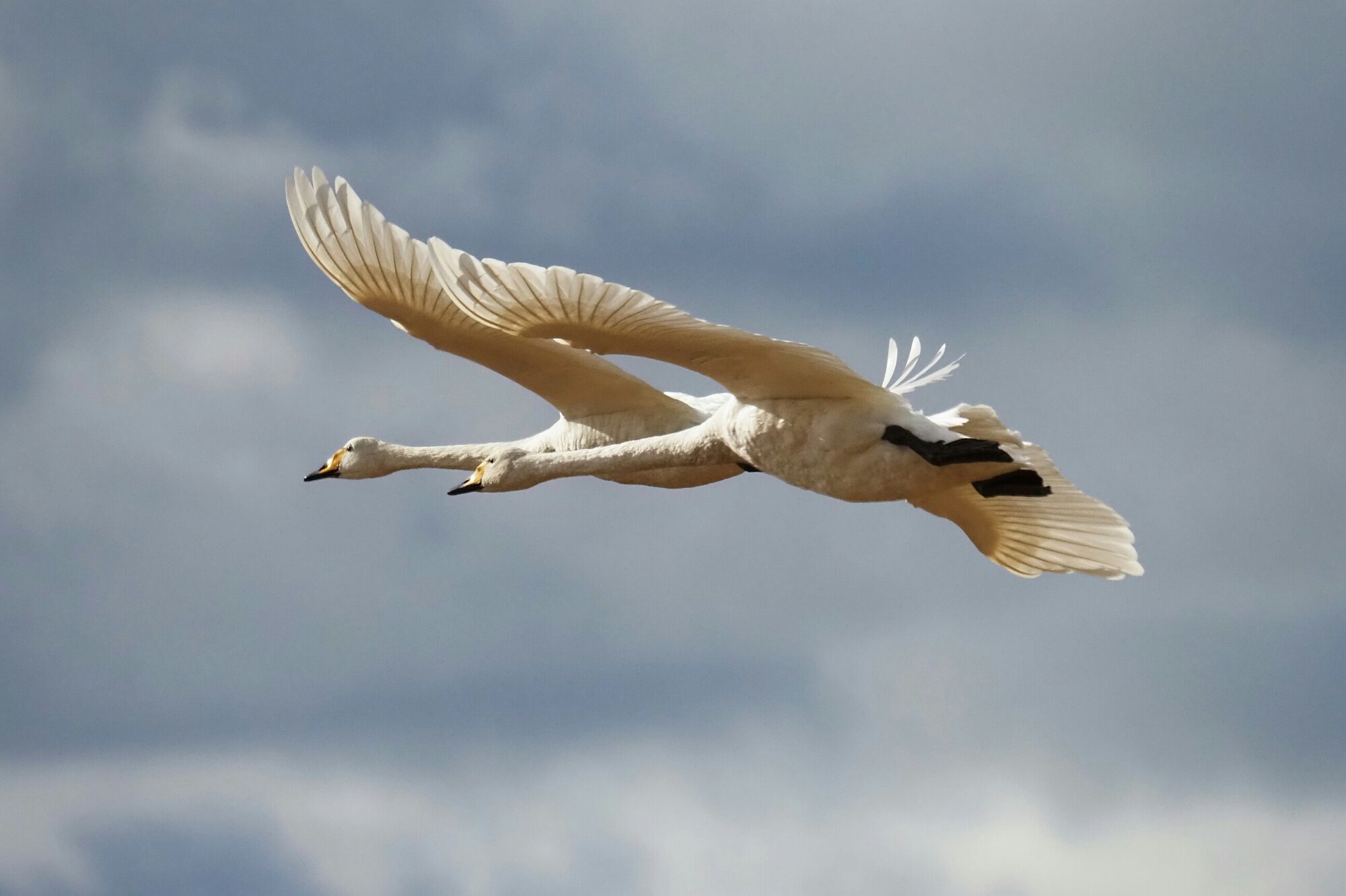 Valokuvaaja: Mikkola Irma
