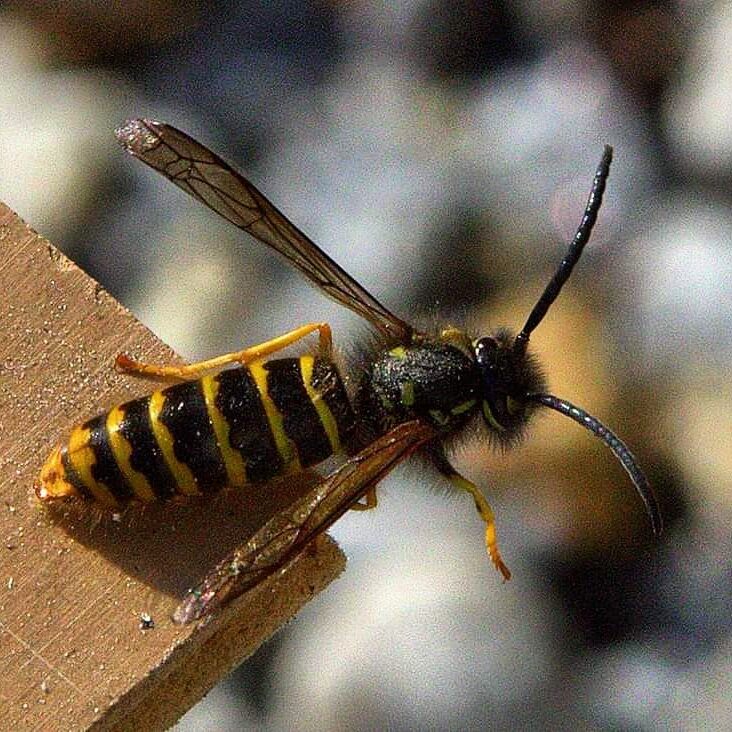 Valokuvaaja: Tapio Keinonen