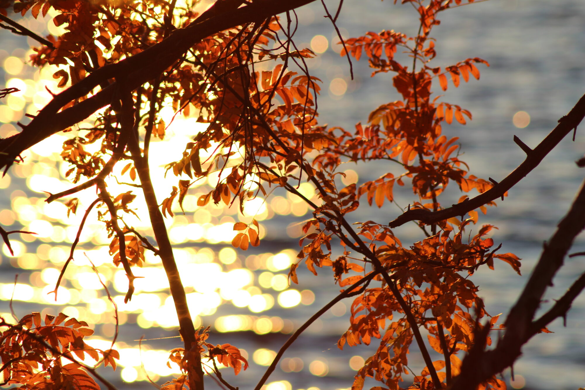 Valokuvaaja: Mirka Miikkulainen