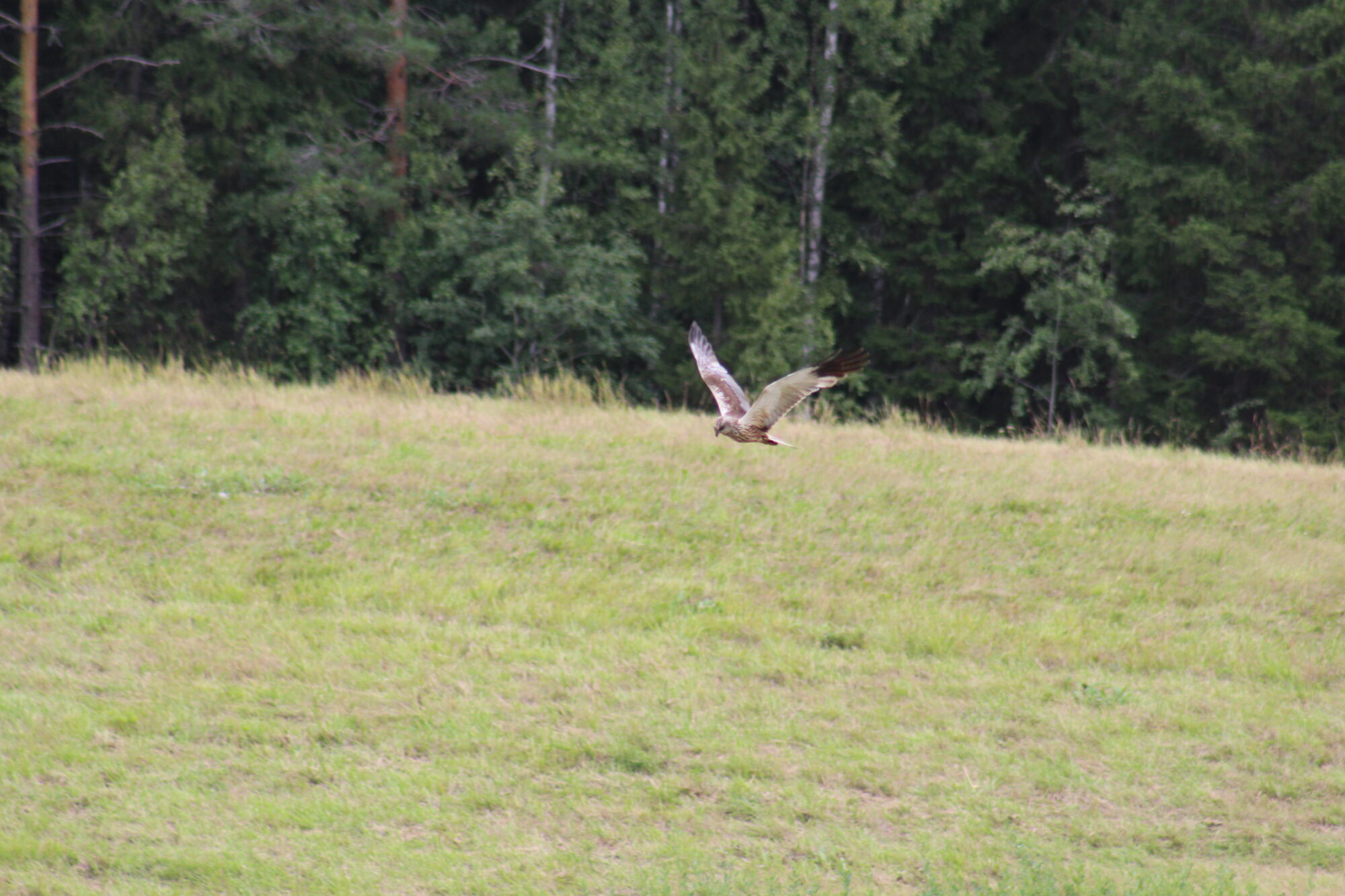 Valokuvaaja: Mirka Miikkulainen