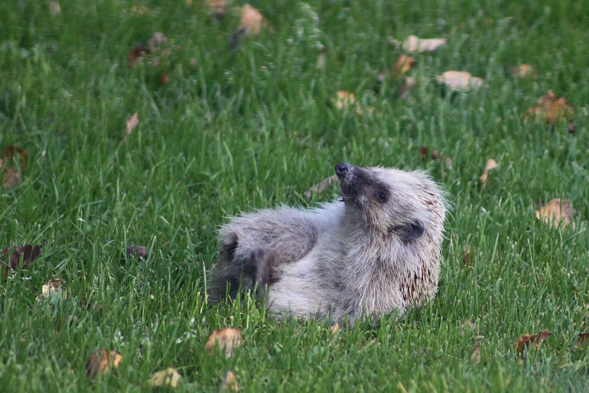Valokuvaaja: Pirkko Siukonen