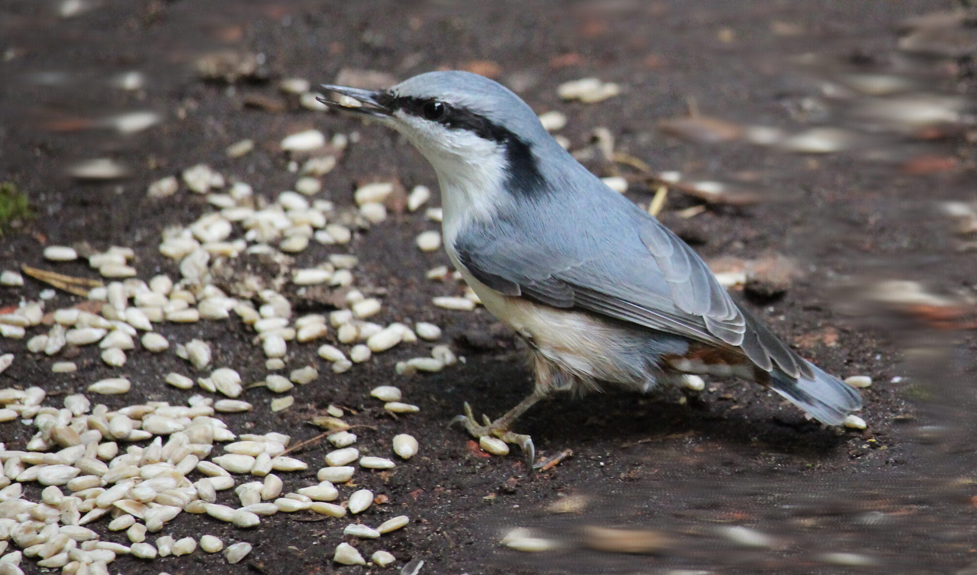 Valokuvaaja: Kirsi-Marja Joenpolvi