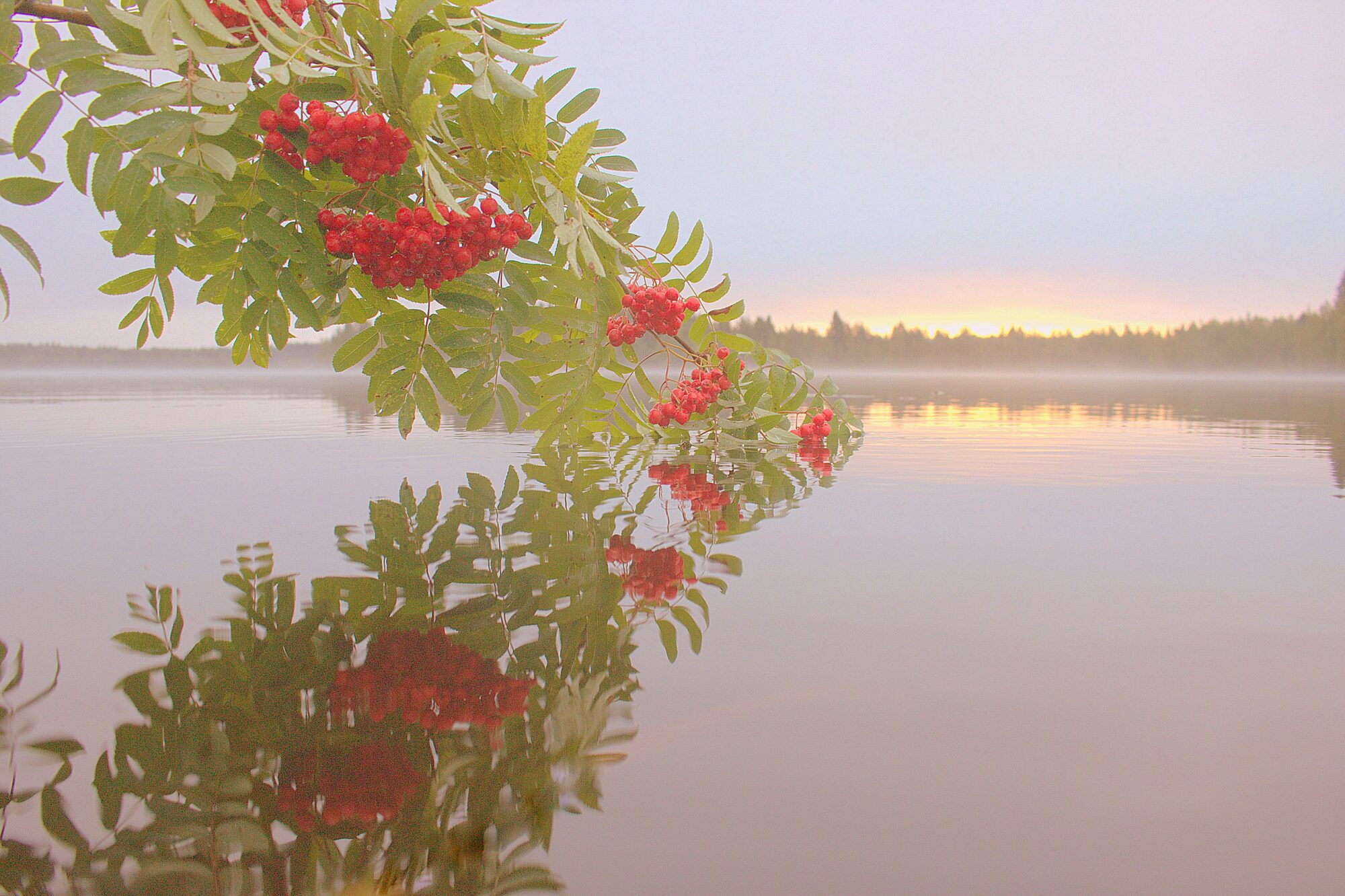 Valokuvaaja: Raija Kokkola Valokuvaaja: Raija Kokkola