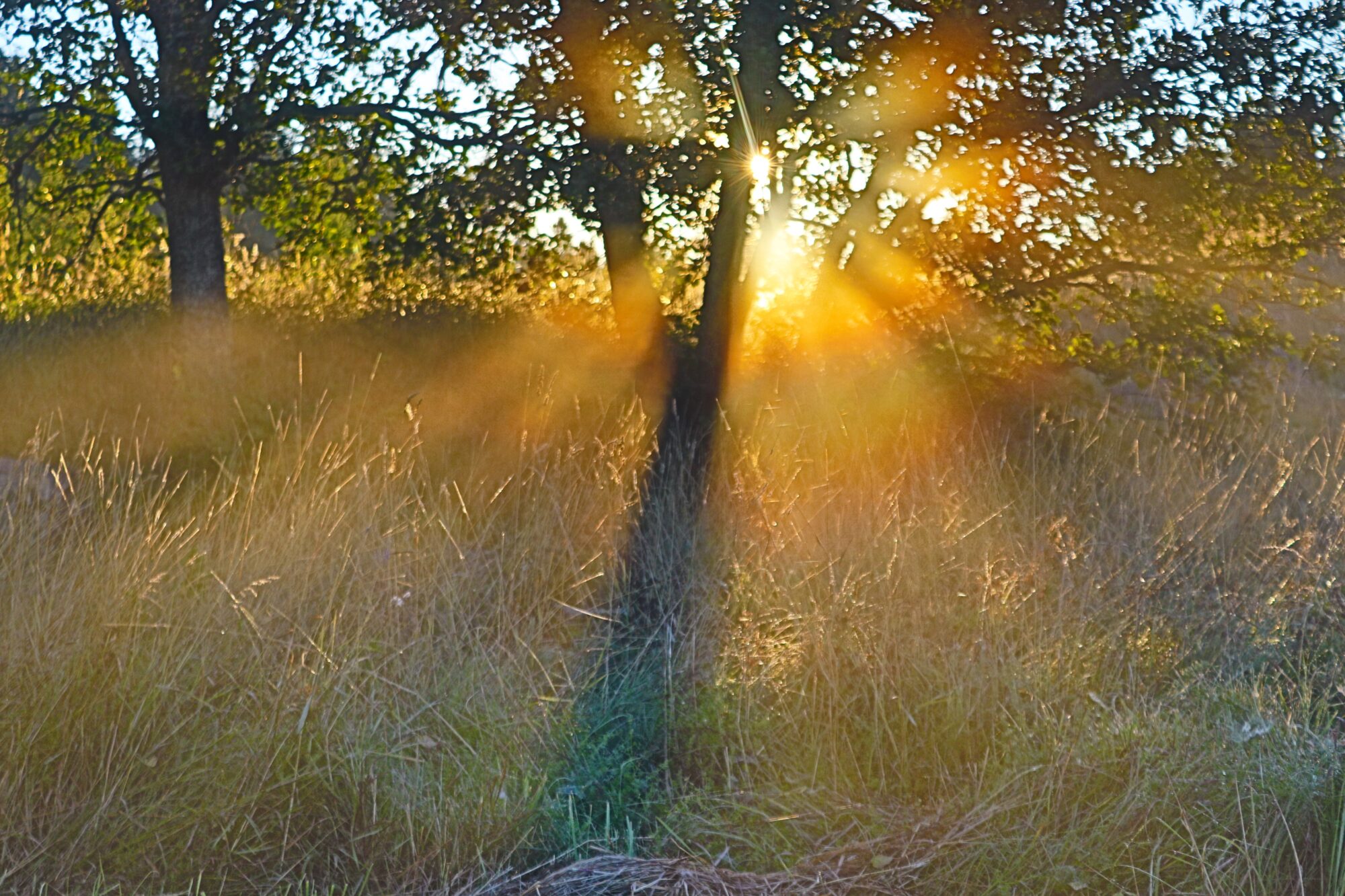 Valokuvaaja: Irja Lehtinen