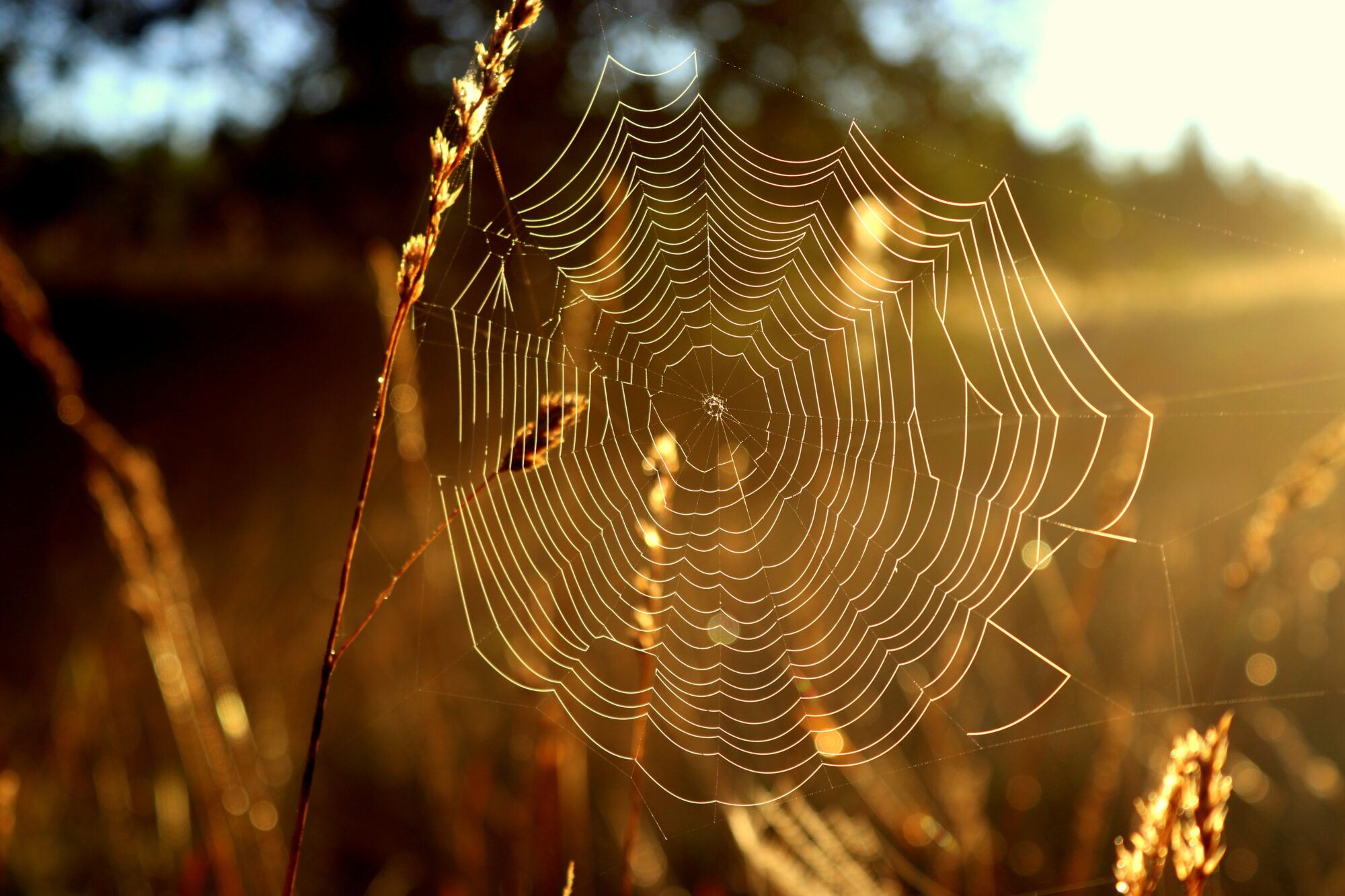 Valokuvaaja: Irja Lehtinen
