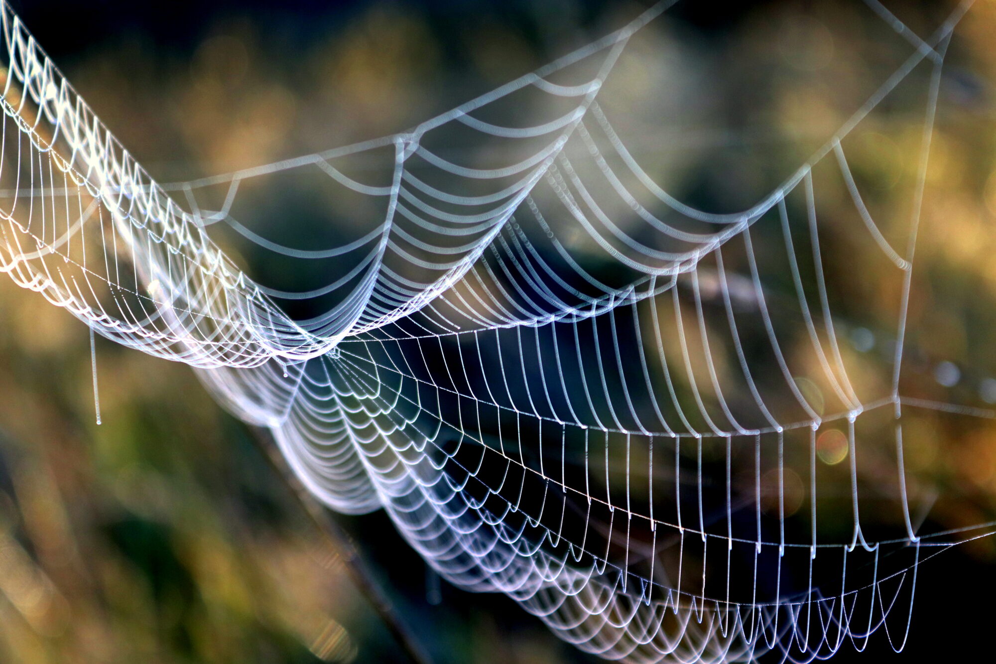 Valokuvaaja: Irja Lehtinen Valokuvaaja: Irja Lehtinen