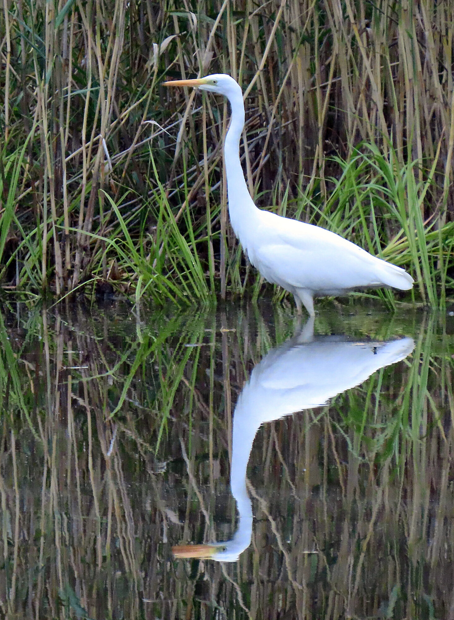 Valokuvaaja: Vaittinen Jukka