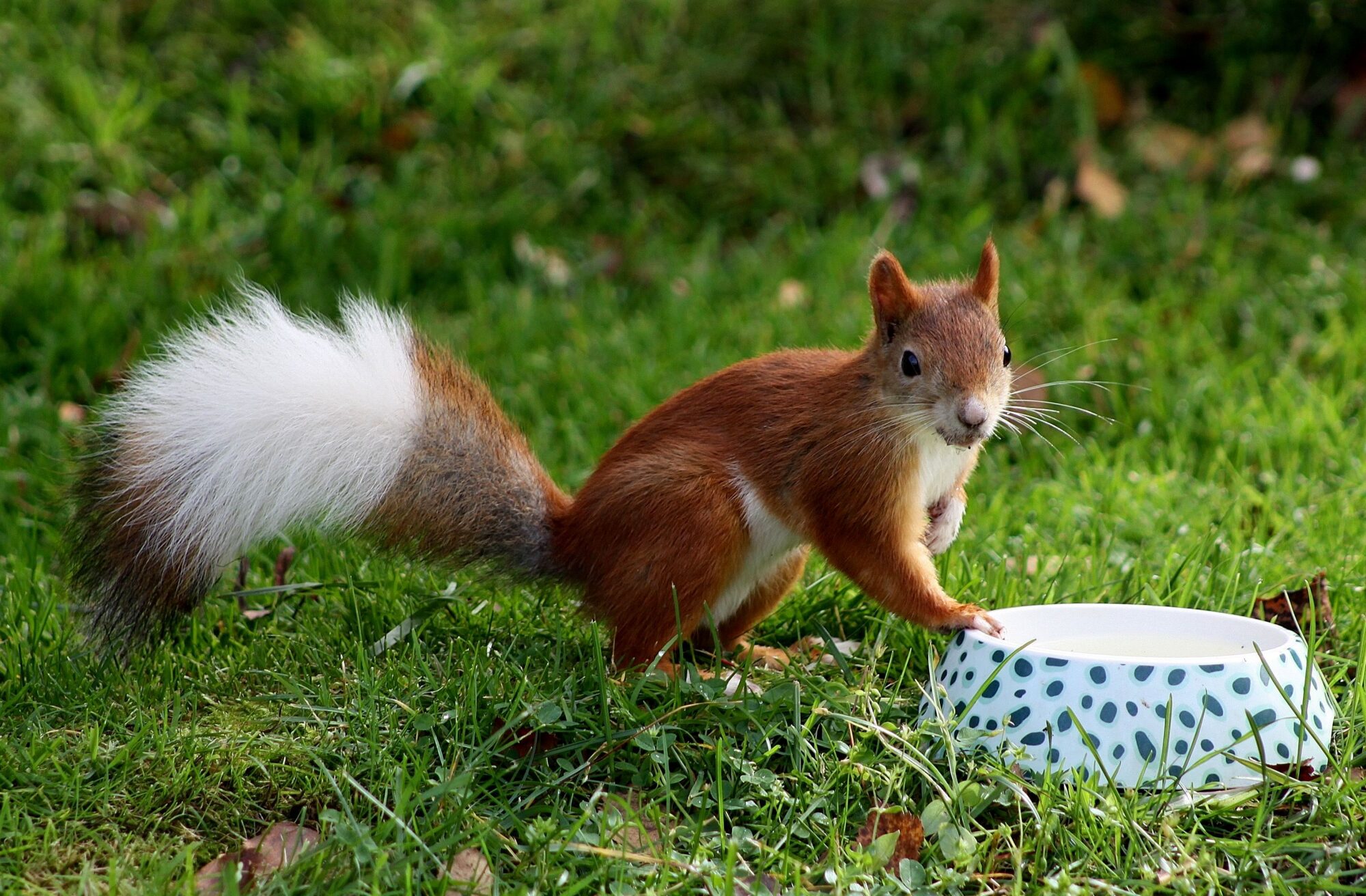 Valokuvaaja: Pirkko Siukonen
