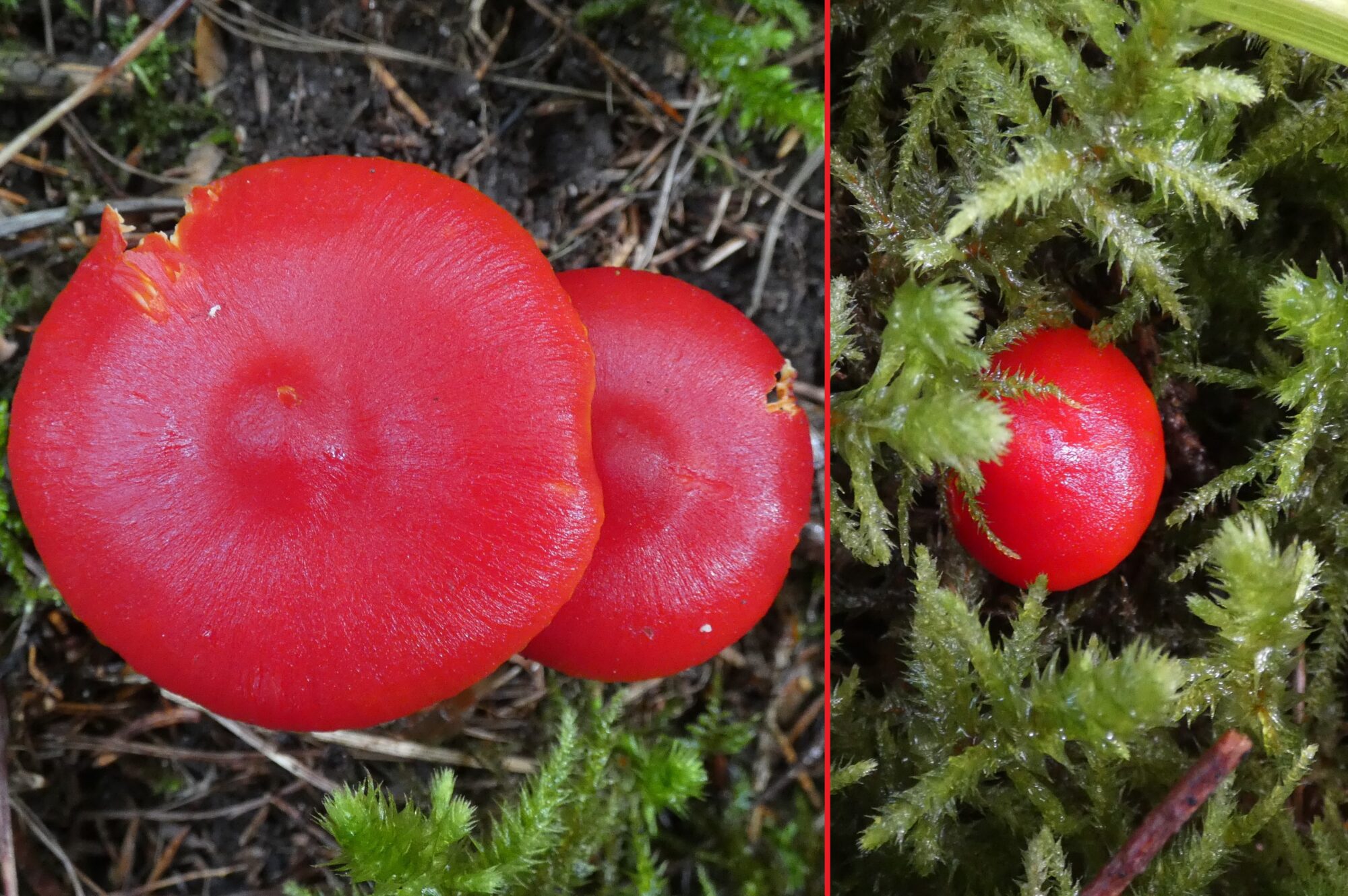 Valokuvaaja: Pekka Heino