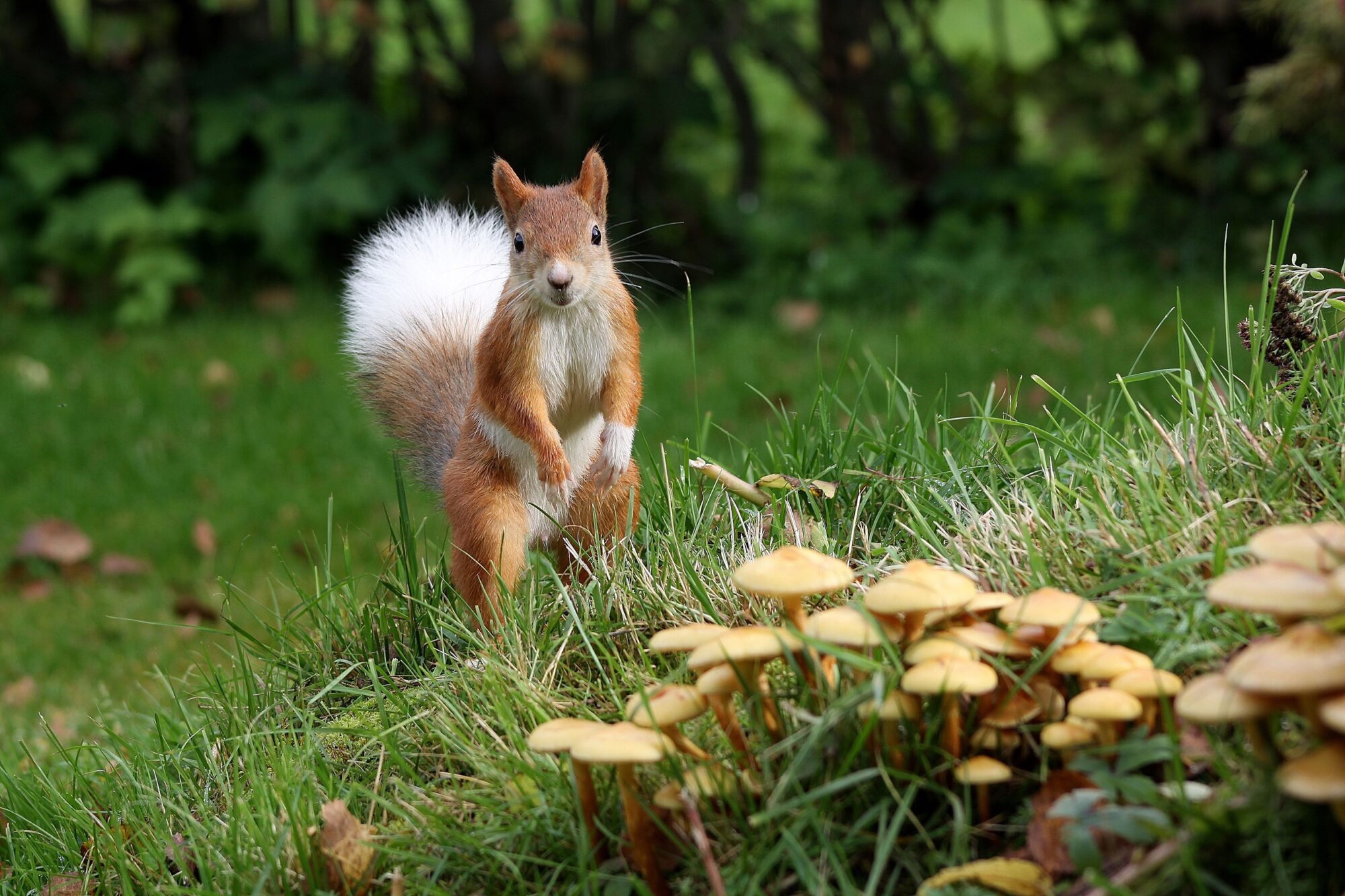 Valokuvaaja: Pirkko Siukonen