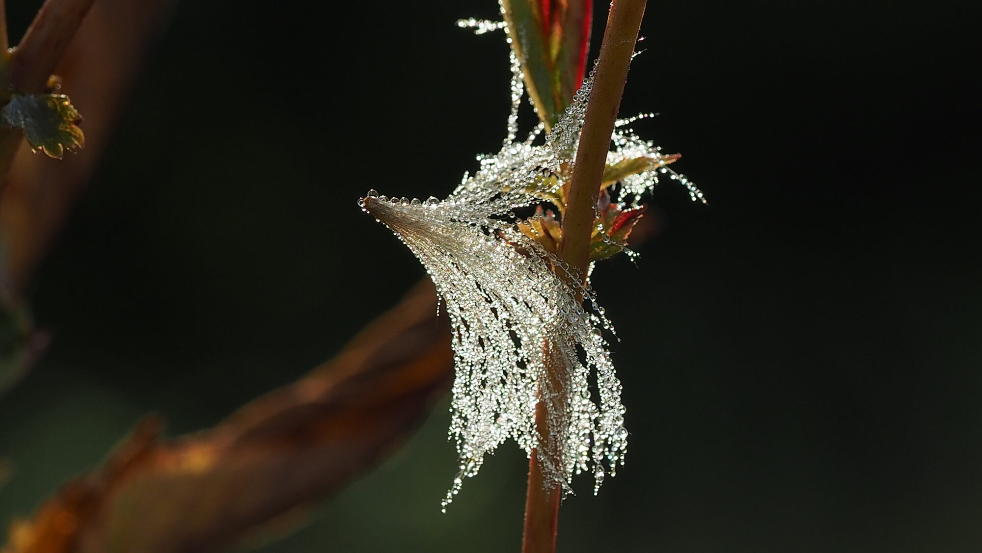 Valokuvaaja: Arja Valtonen