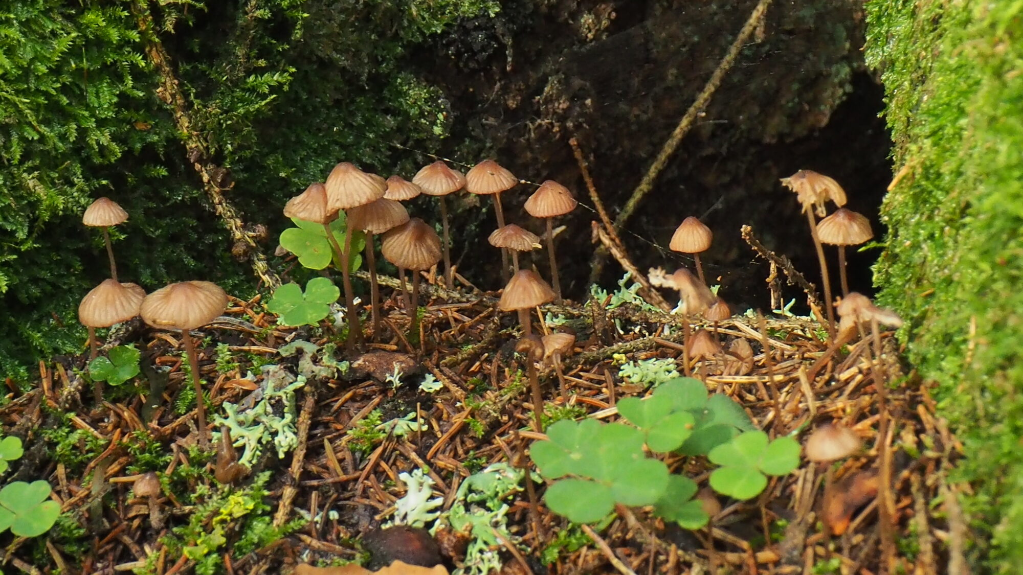 Valokuvaaja: Martti Valtonen