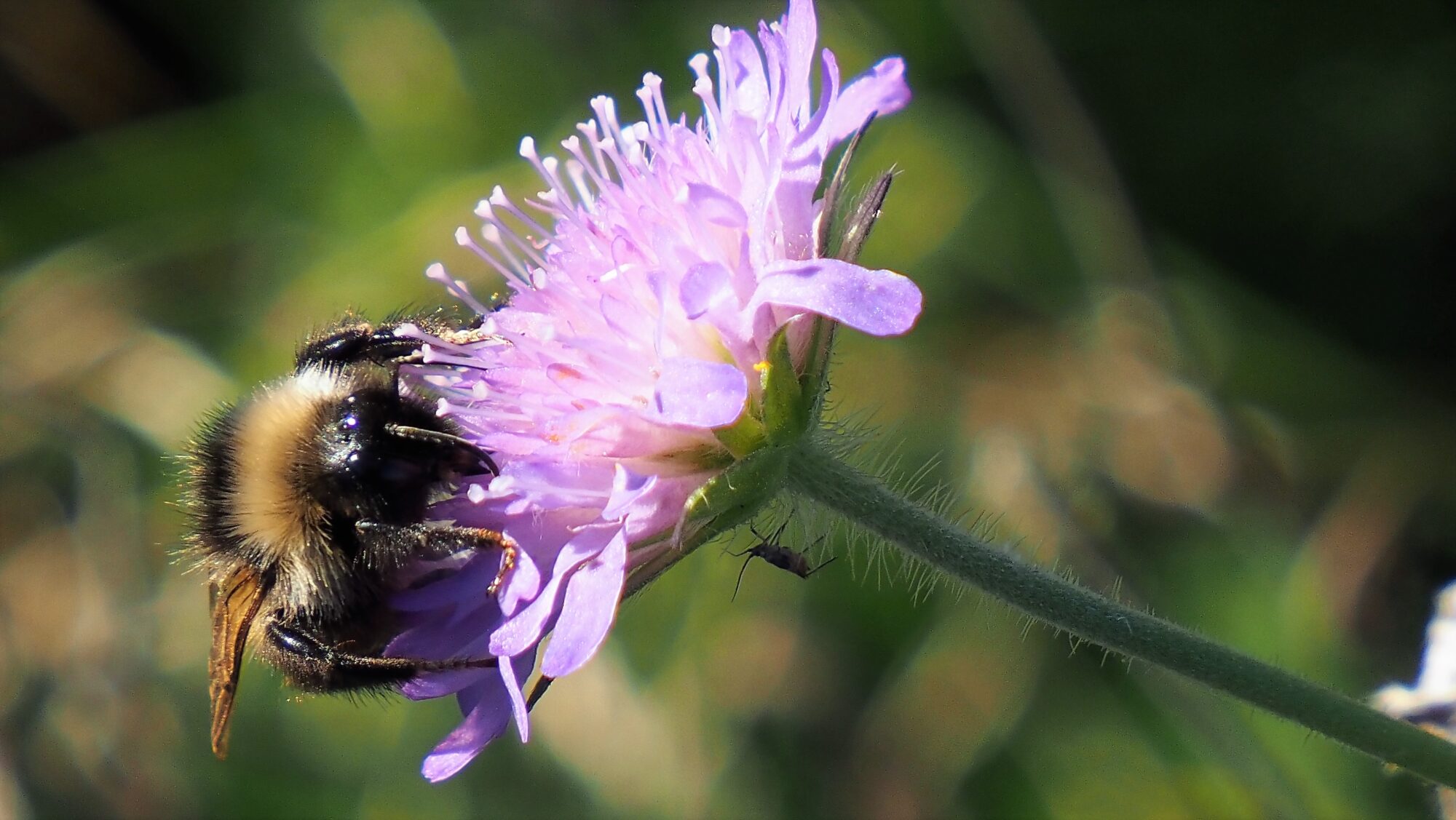 Valokuvaaja: Arja Valtonen Valokuvaaja: Arja Valtonen