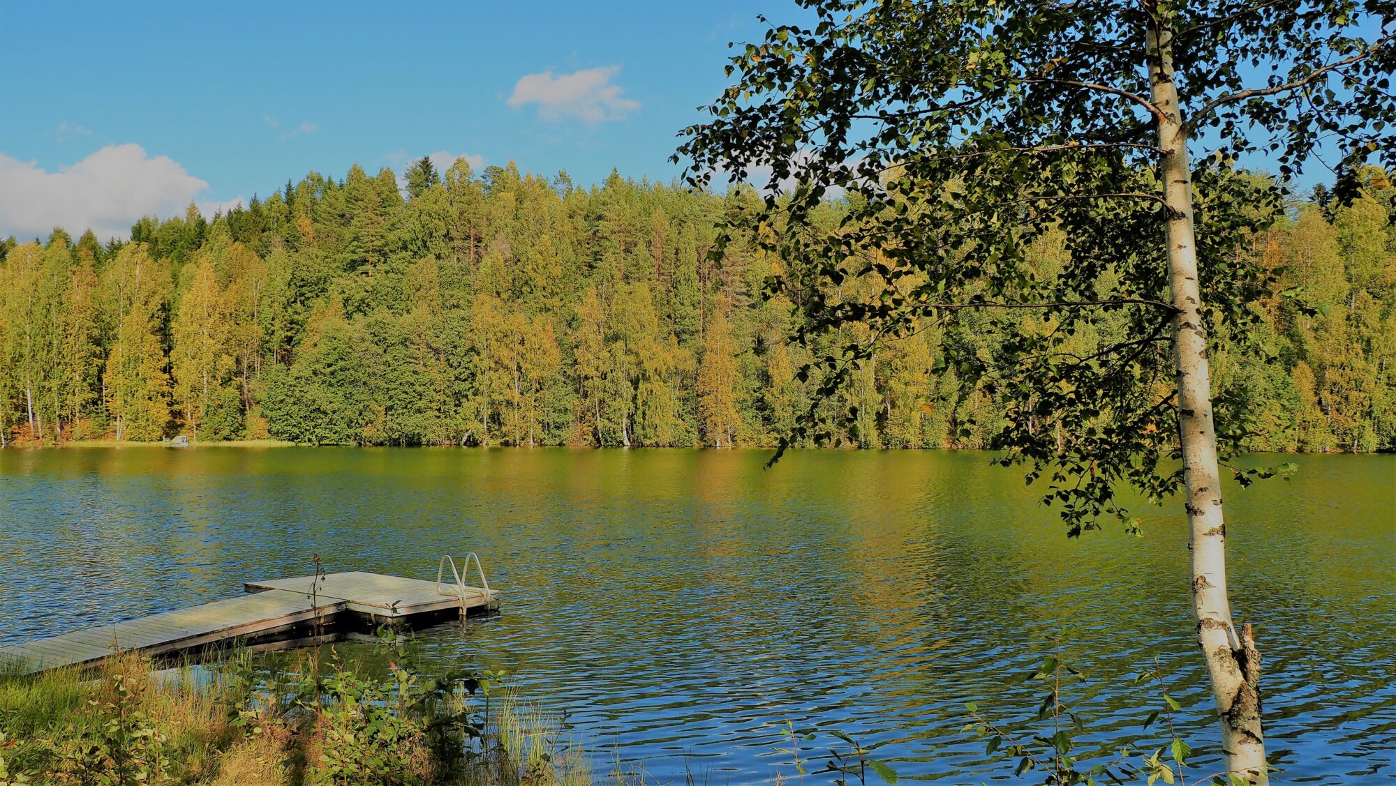 Valokuvaaja: Arja Valtonen