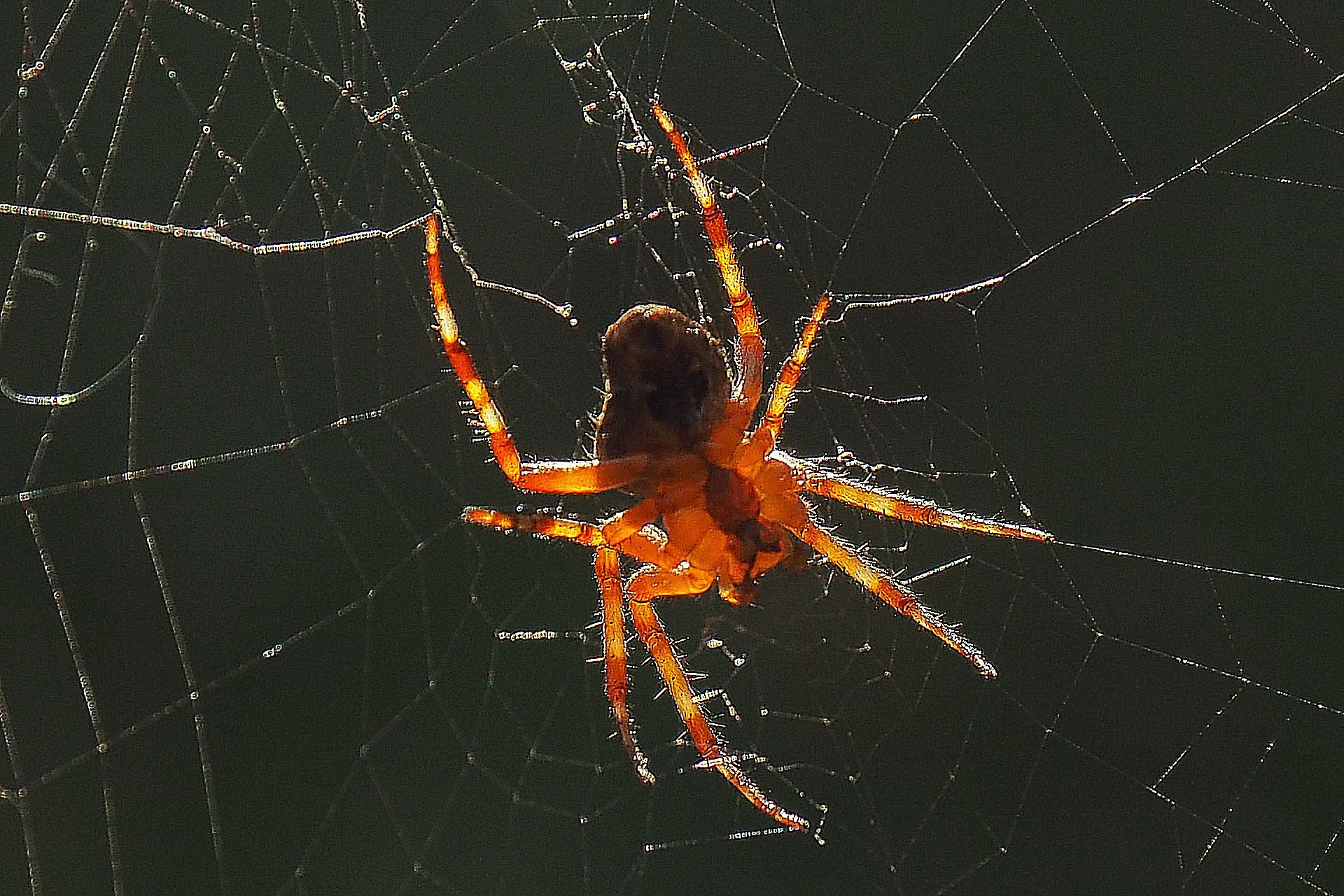 Valokuvaaja: Martti Valtonen