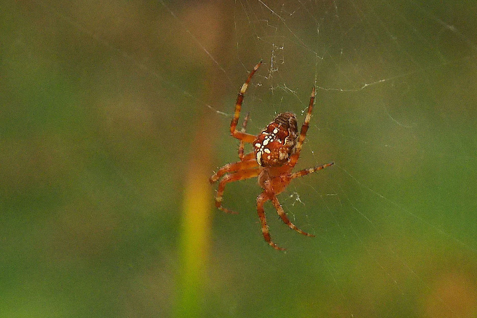 Valokuvaaja: Martti Valtonen