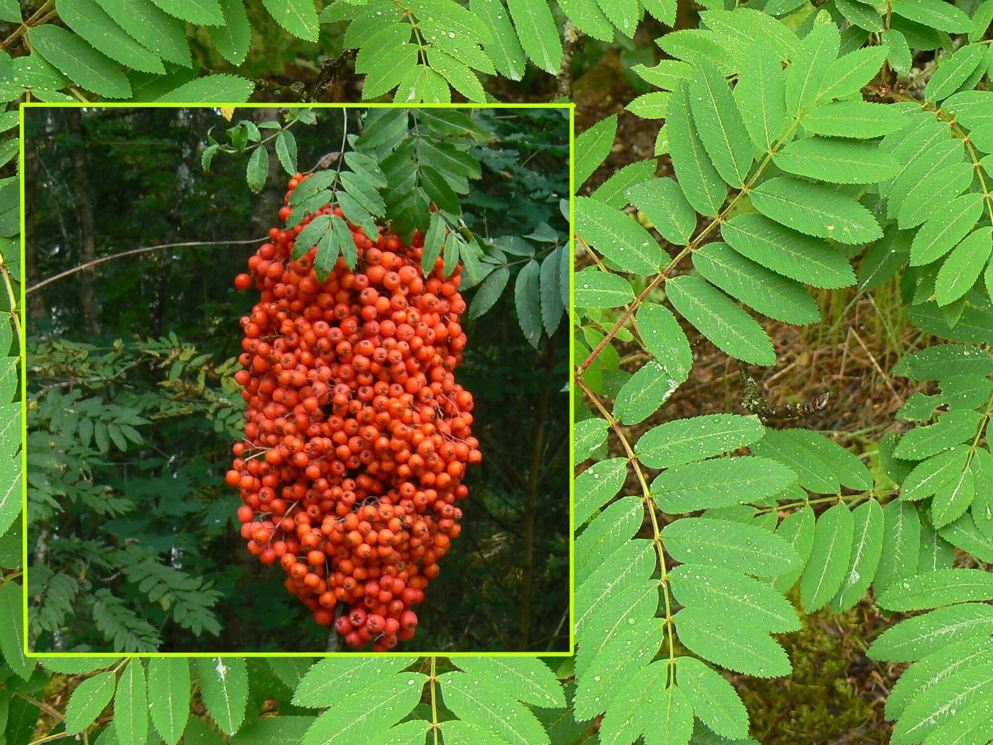 Valokuvaaja: Pekka Heino