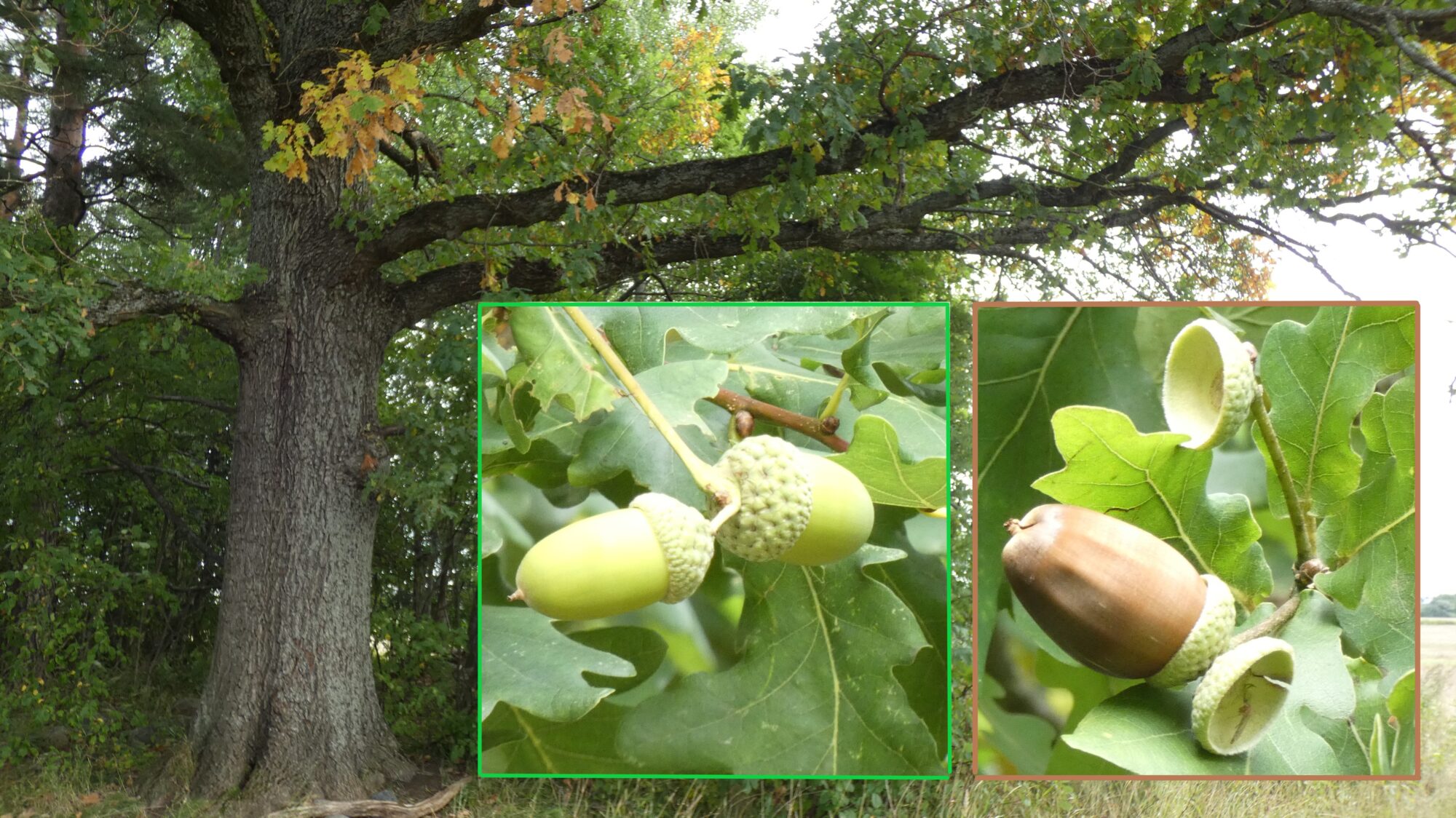 Valokuvaaja: Pekka Heino