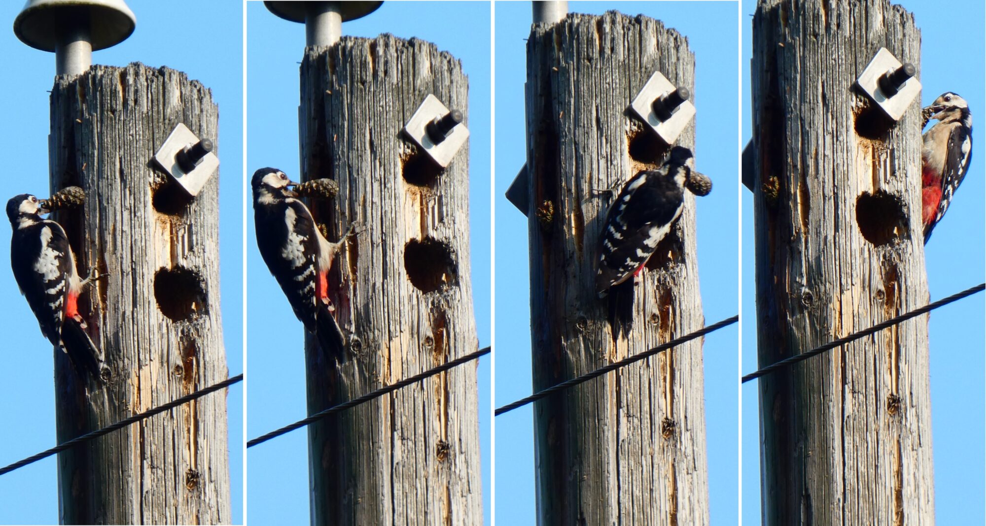 Valokuvaaja: Pekka Heino