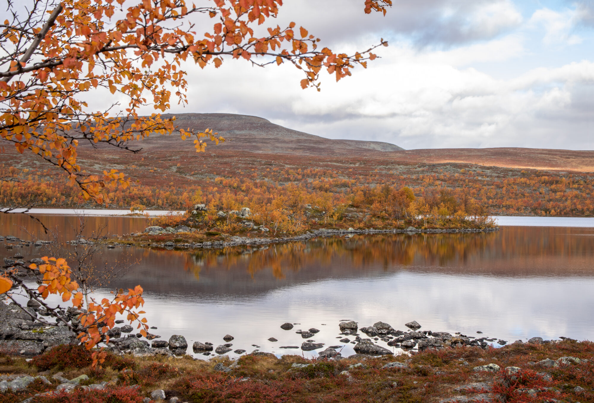 Valokuvaaja: Katri Niskanen