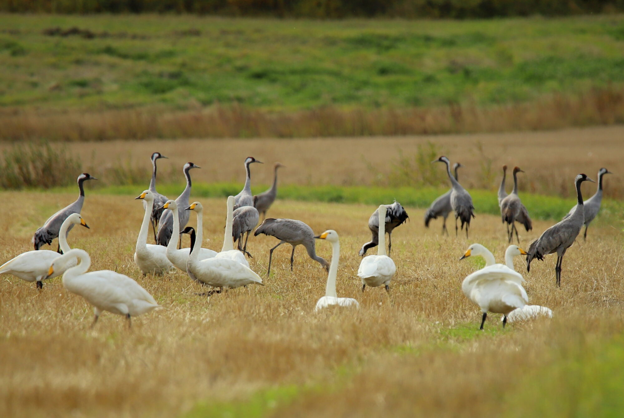 Valokuvaaja: sirpa jyske