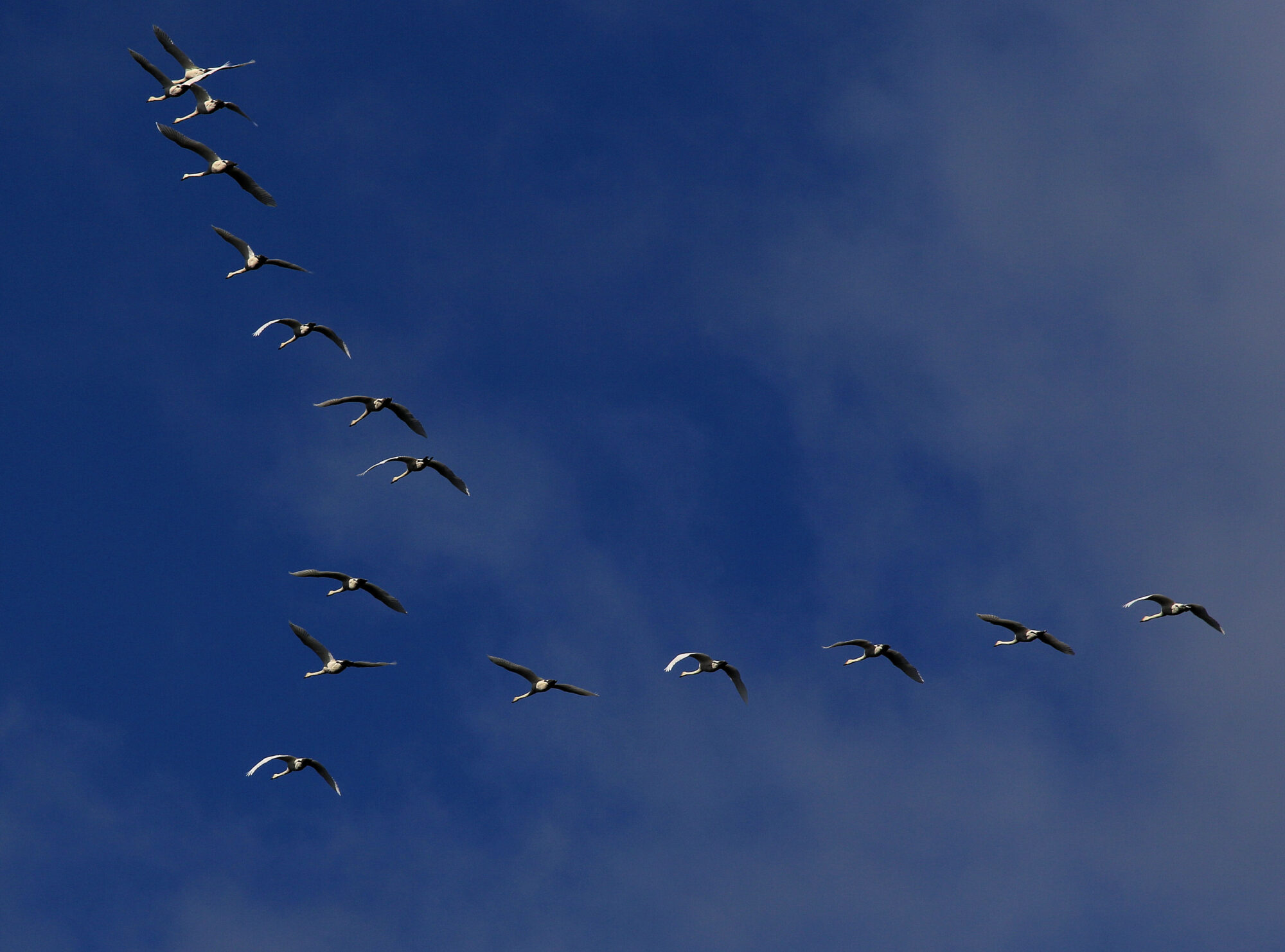 Valokuvaaja: Ahti Keränen