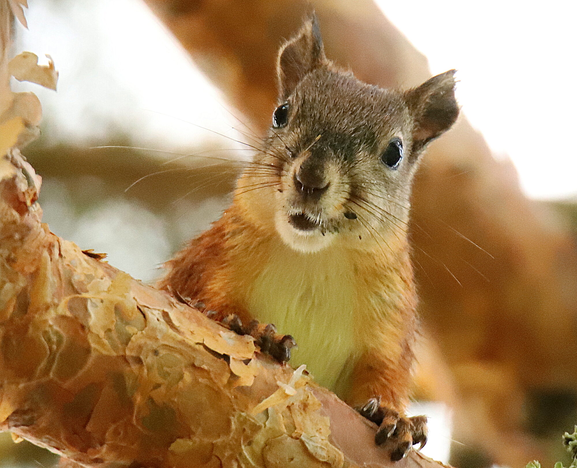 Valokuvaaja: sirpa jyske Valokuvaaja: sirpa jyske