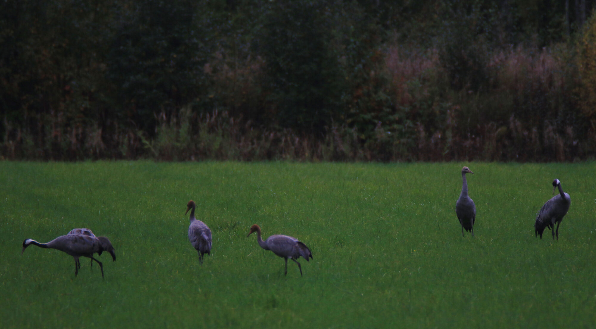 Valokuvaaja: Ahti Keränen