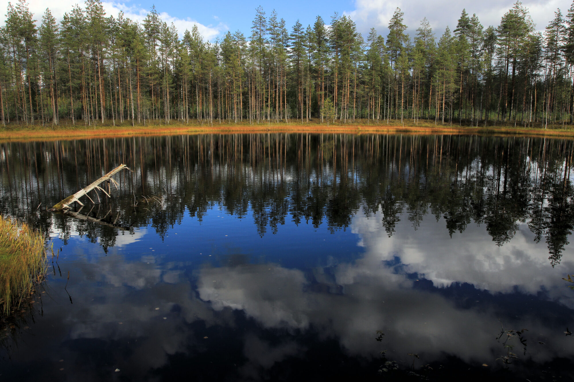 Valokuvaaja: Ahti Keränen