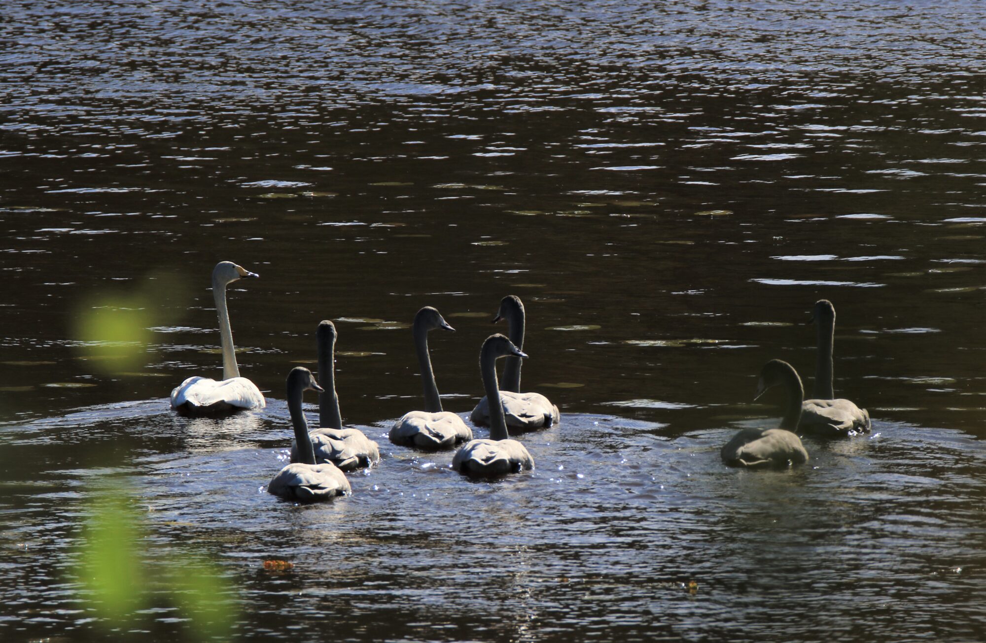Valokuvaaja: Ahti Keränen