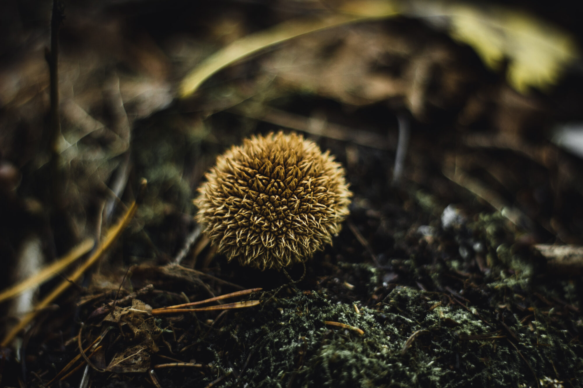 Valokuvaaja: Neea Hakulinen Valokuvaaja: Neea Hakulinen