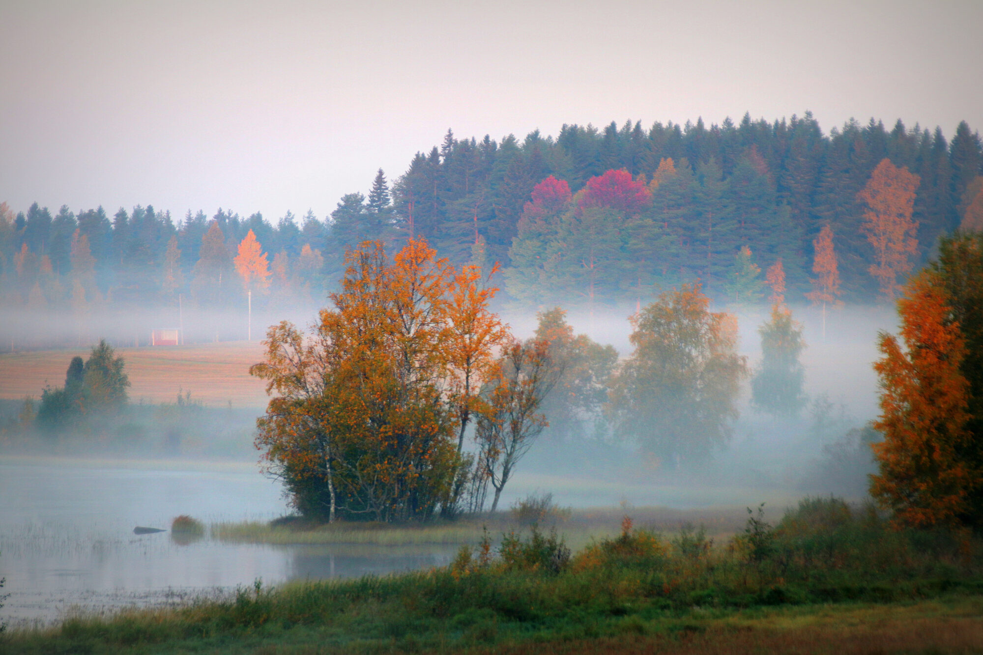 Valokuvaaja: sirpa jyske