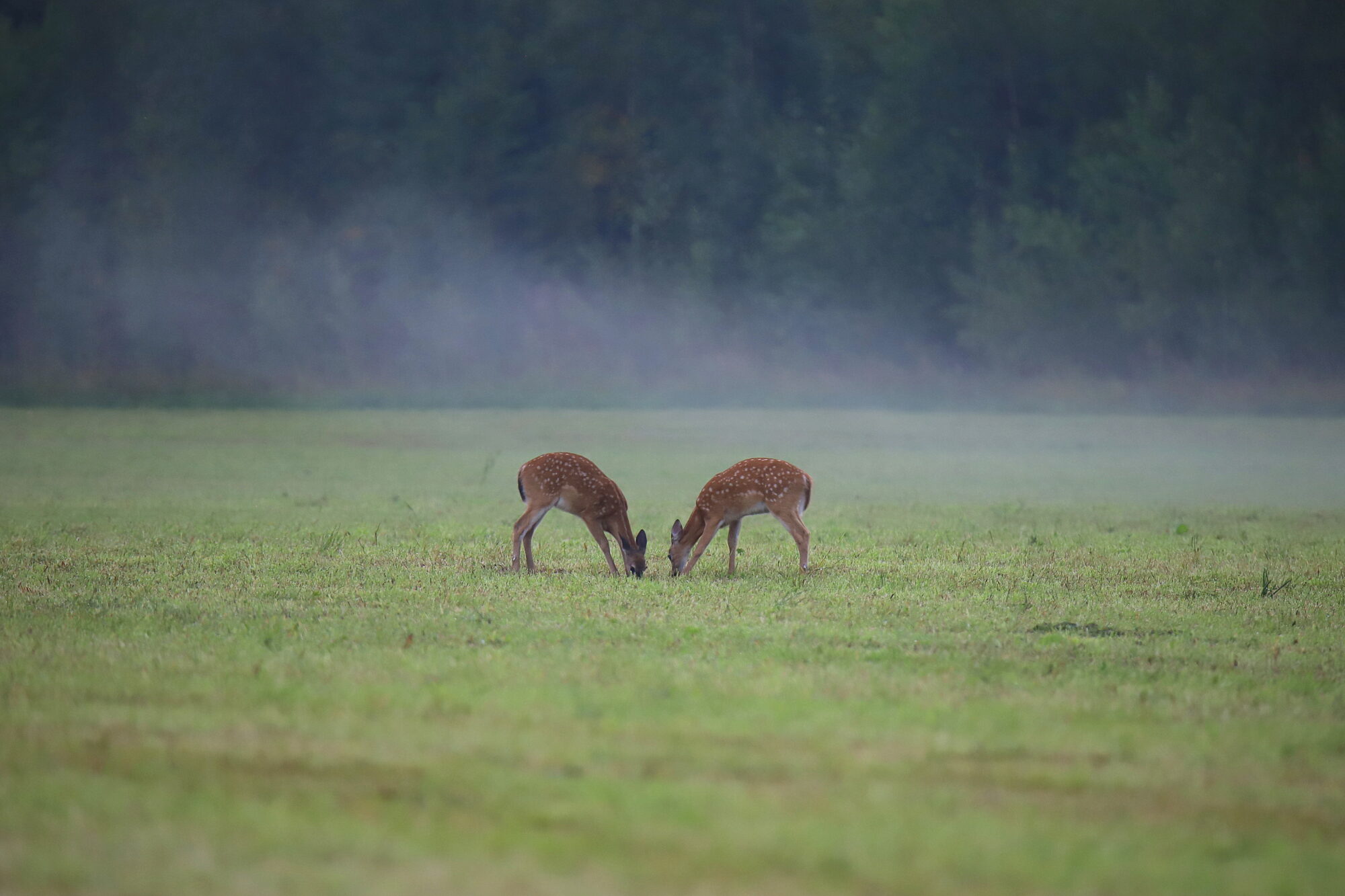 Valokuvaaja: sirpa jyske